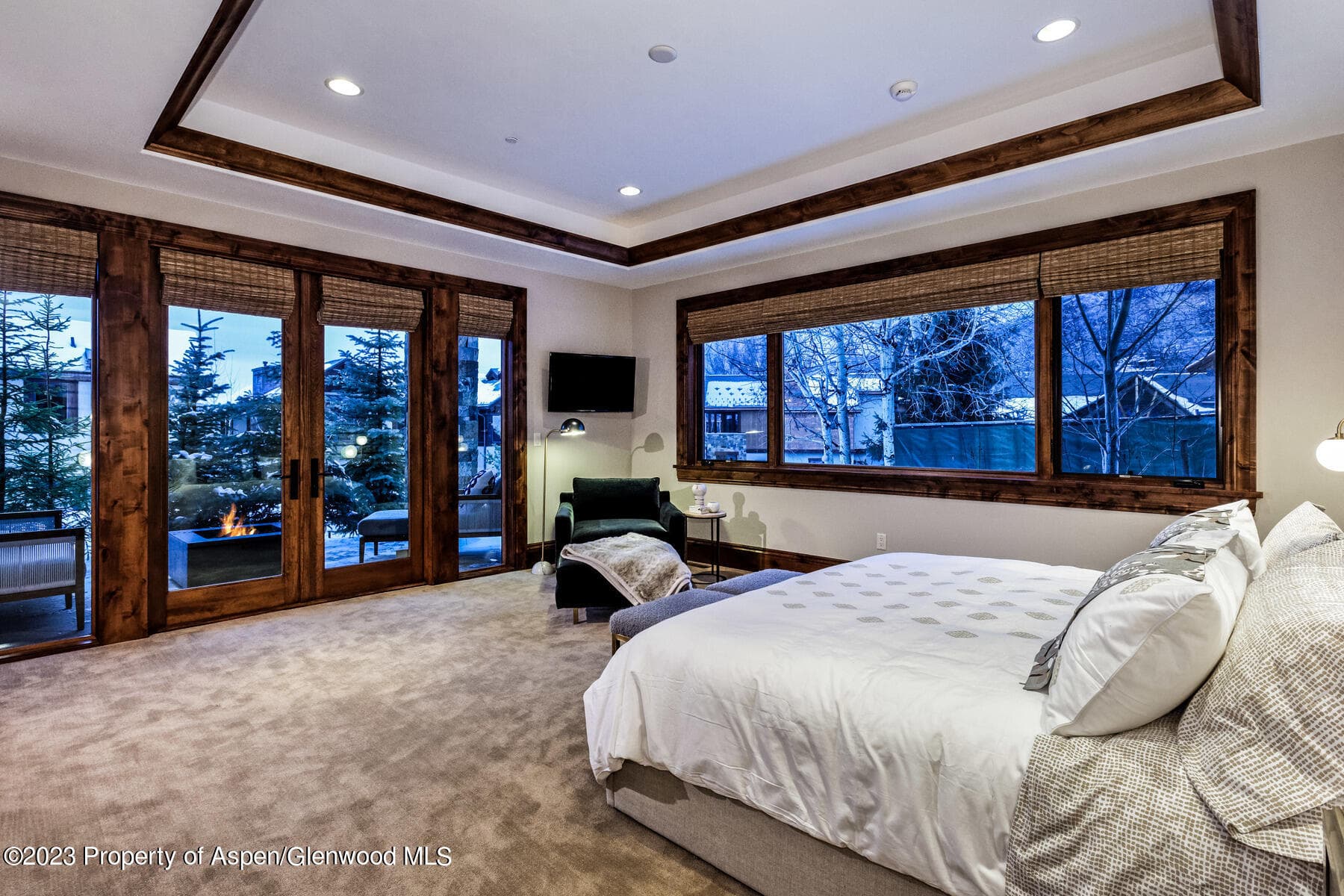 537 Race Street, Aspen, CO 81611 - Photo 15