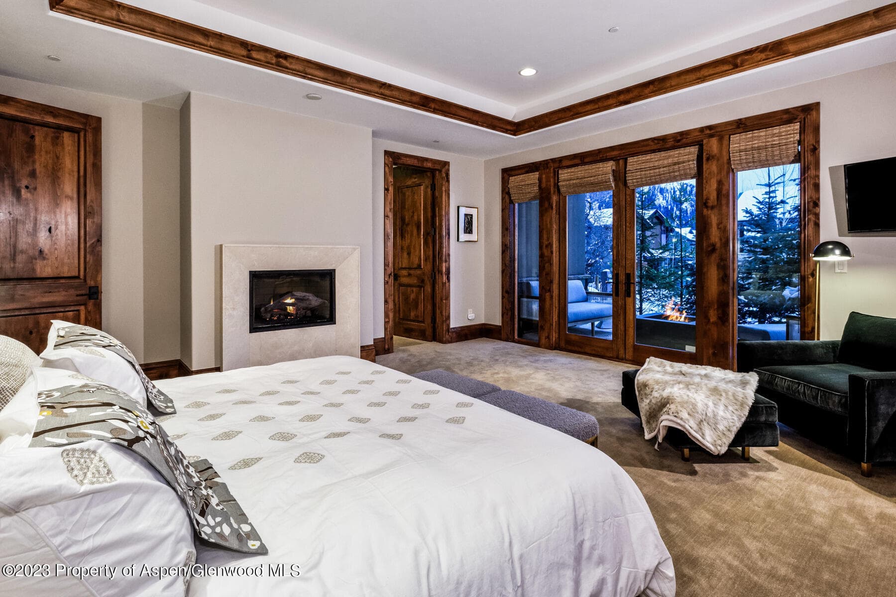 537 Race Street, Aspen, CO 81611 - Photo 16