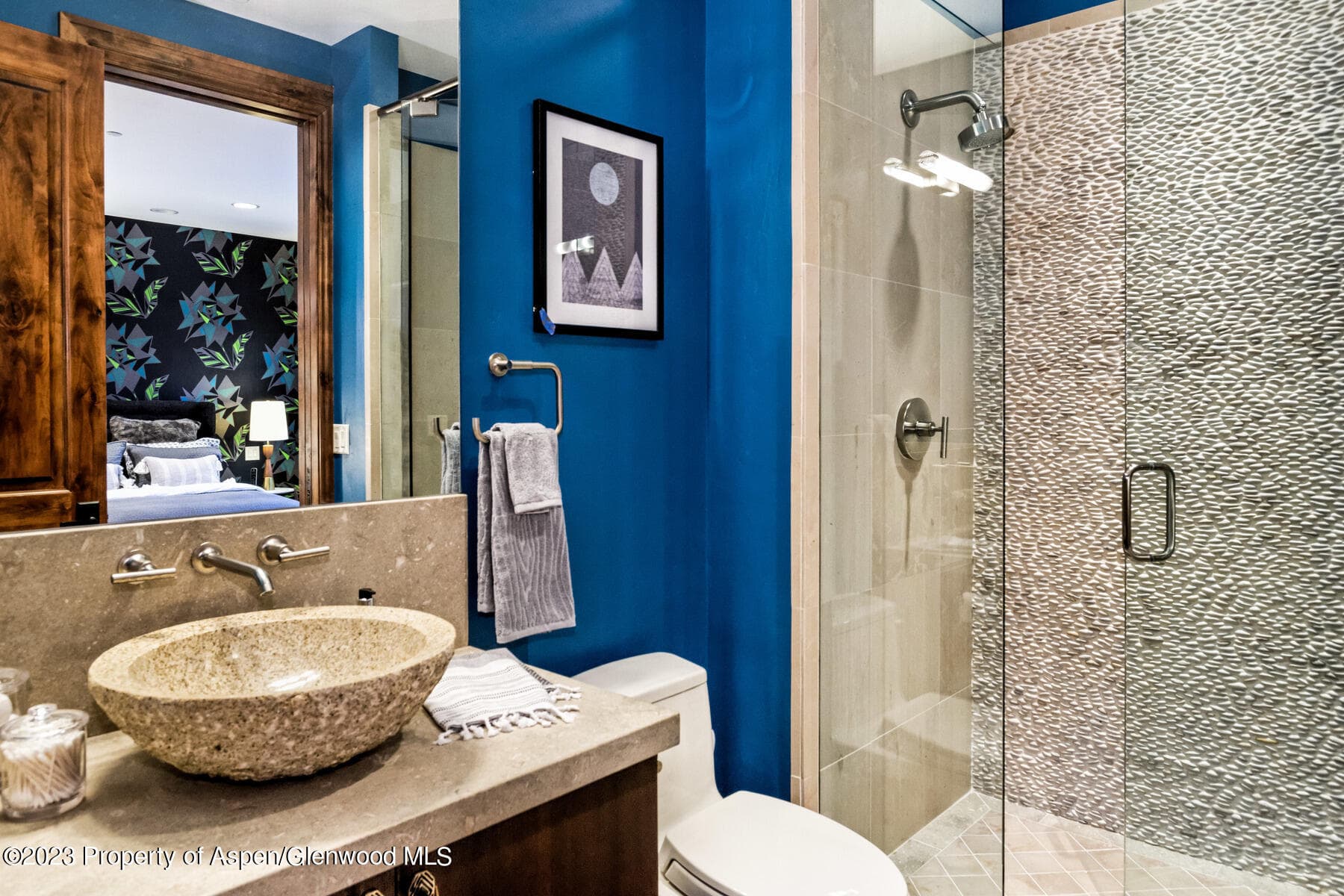 537 Race Street, Aspen, CO 81611 - Photo 19