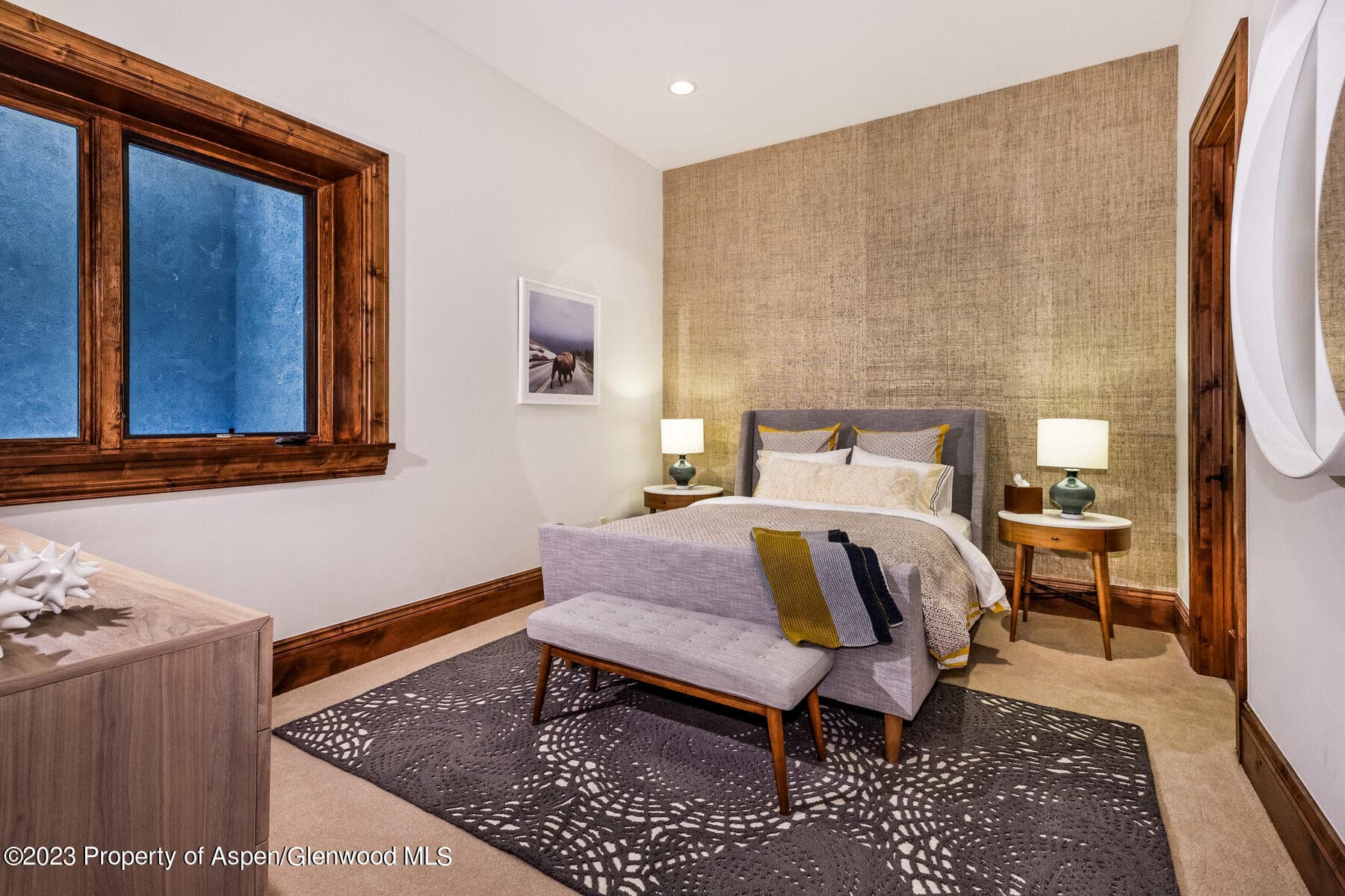 537 Race Street, Aspen, CO 81611 - Photo 23