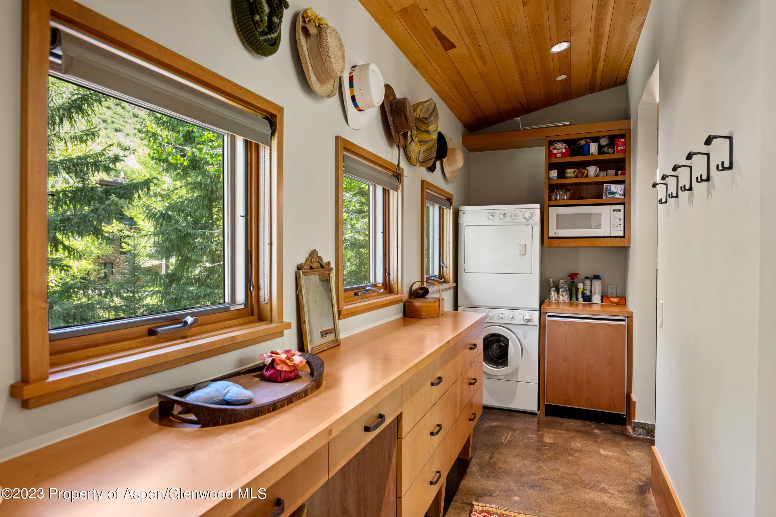 1575 Silver King Drive, Aspen, CO 81611 - Photo 15