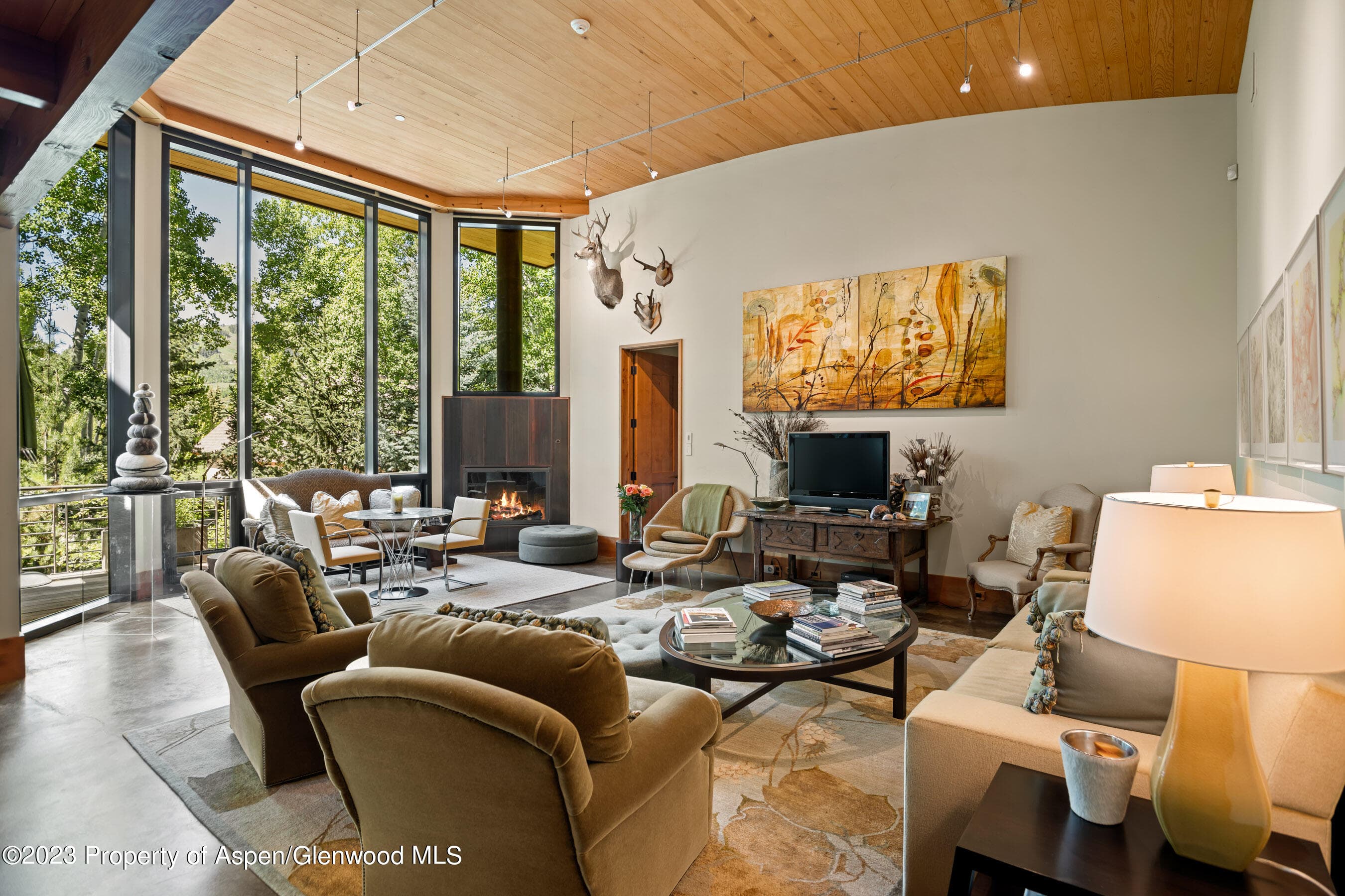 1575 Silver King Drive, Aspen, CO 81611 - Photo 8