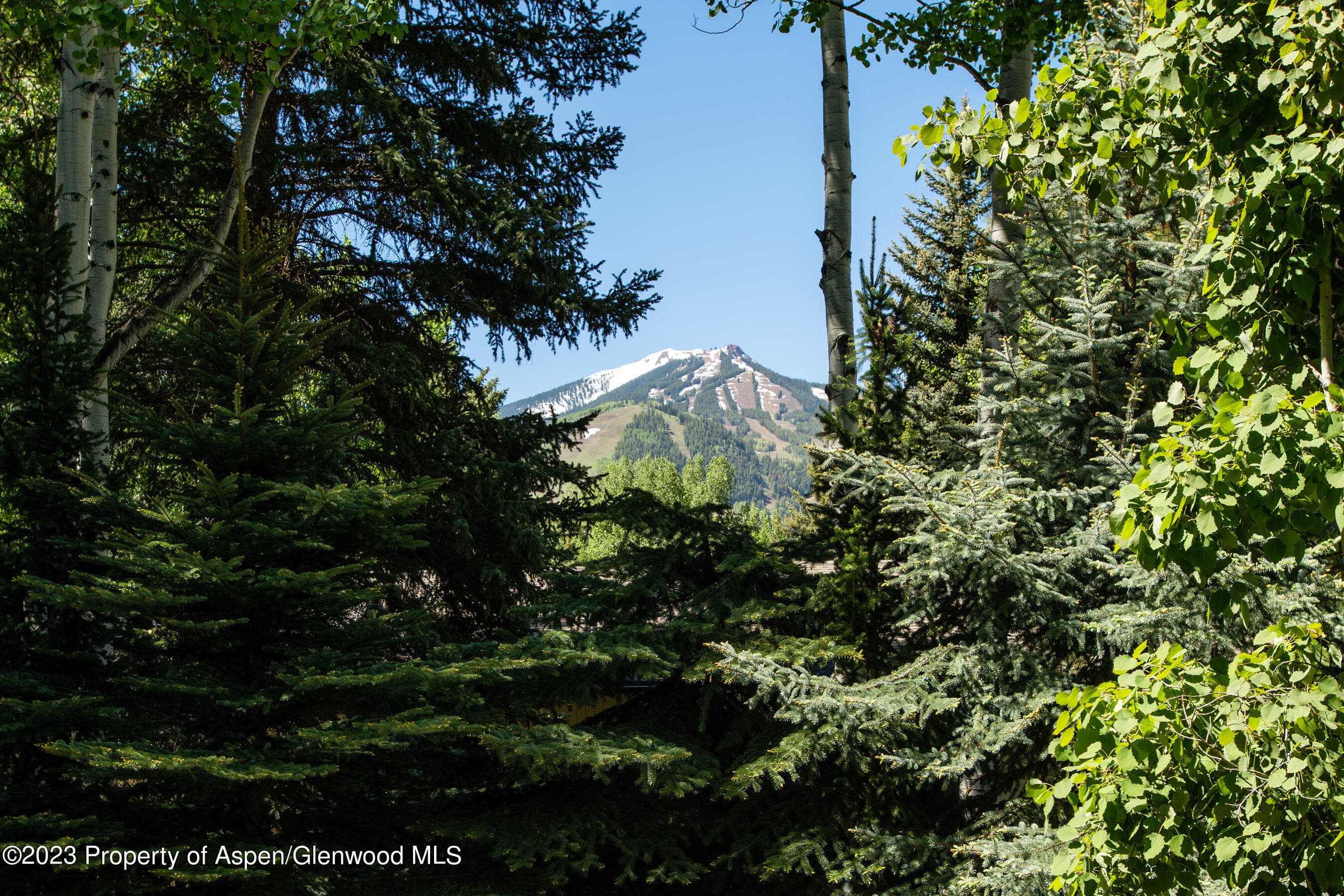 1575 Silver King Drive, Aspen, CO 81611 - Photo 25