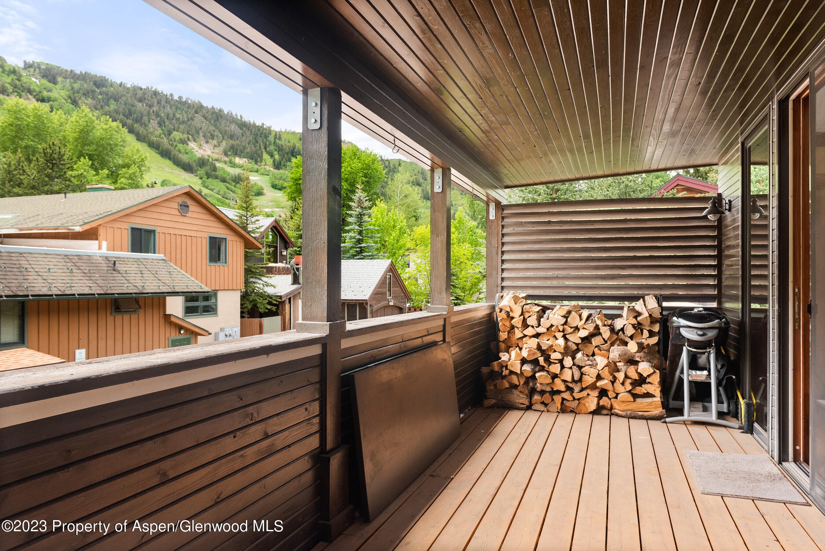 917 E Durant Avenue, Aspen, CO 81611 - Photo 7