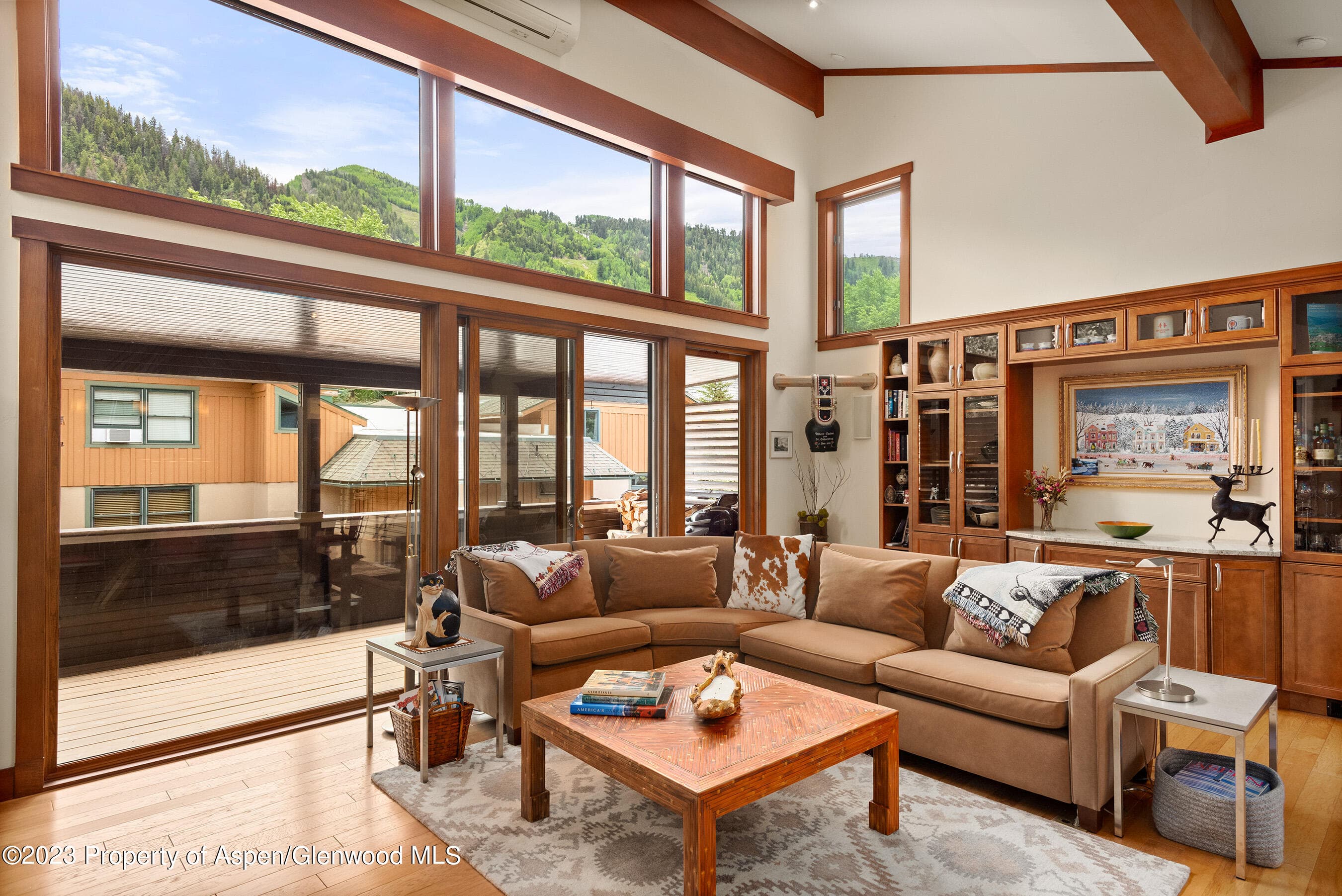 917 E Durant Avenue, Aspen, CO 81611 - Photo 3