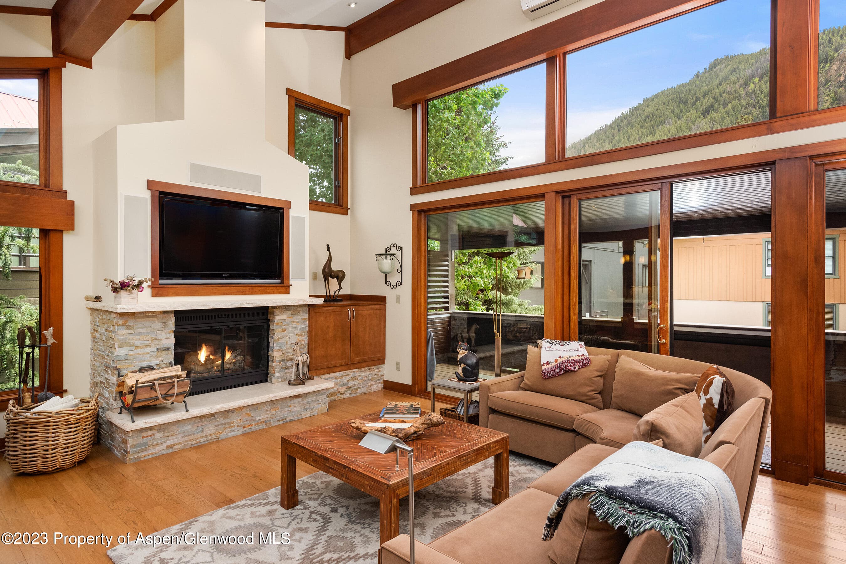 917 E Durant Avenue, Aspen, CO 81611 - Photo 2