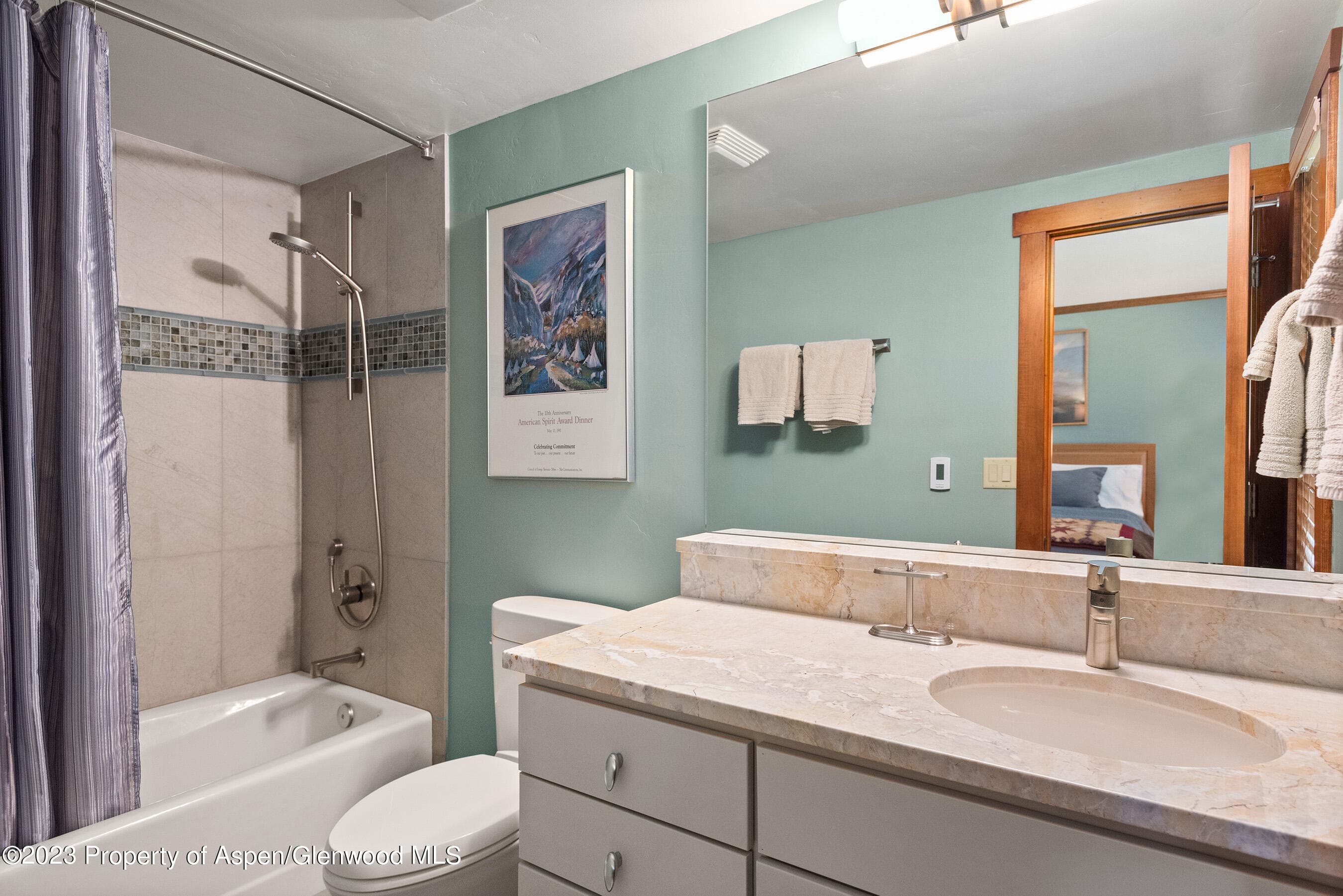 917 E Durant Avenue, Aspen, CO 81611 - Photo 17