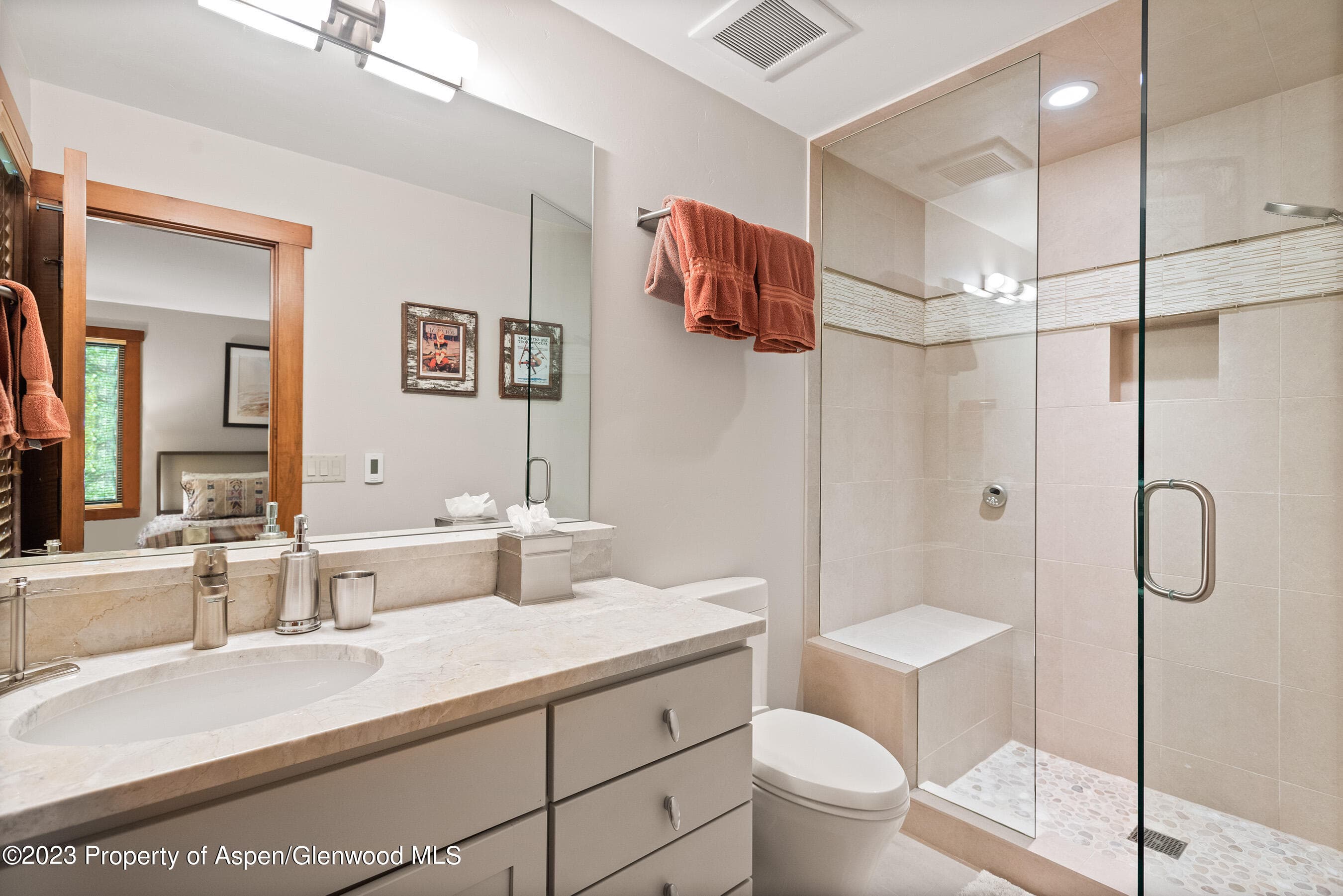 917 E Durant Avenue, Aspen, CO 81611 - Photo 15