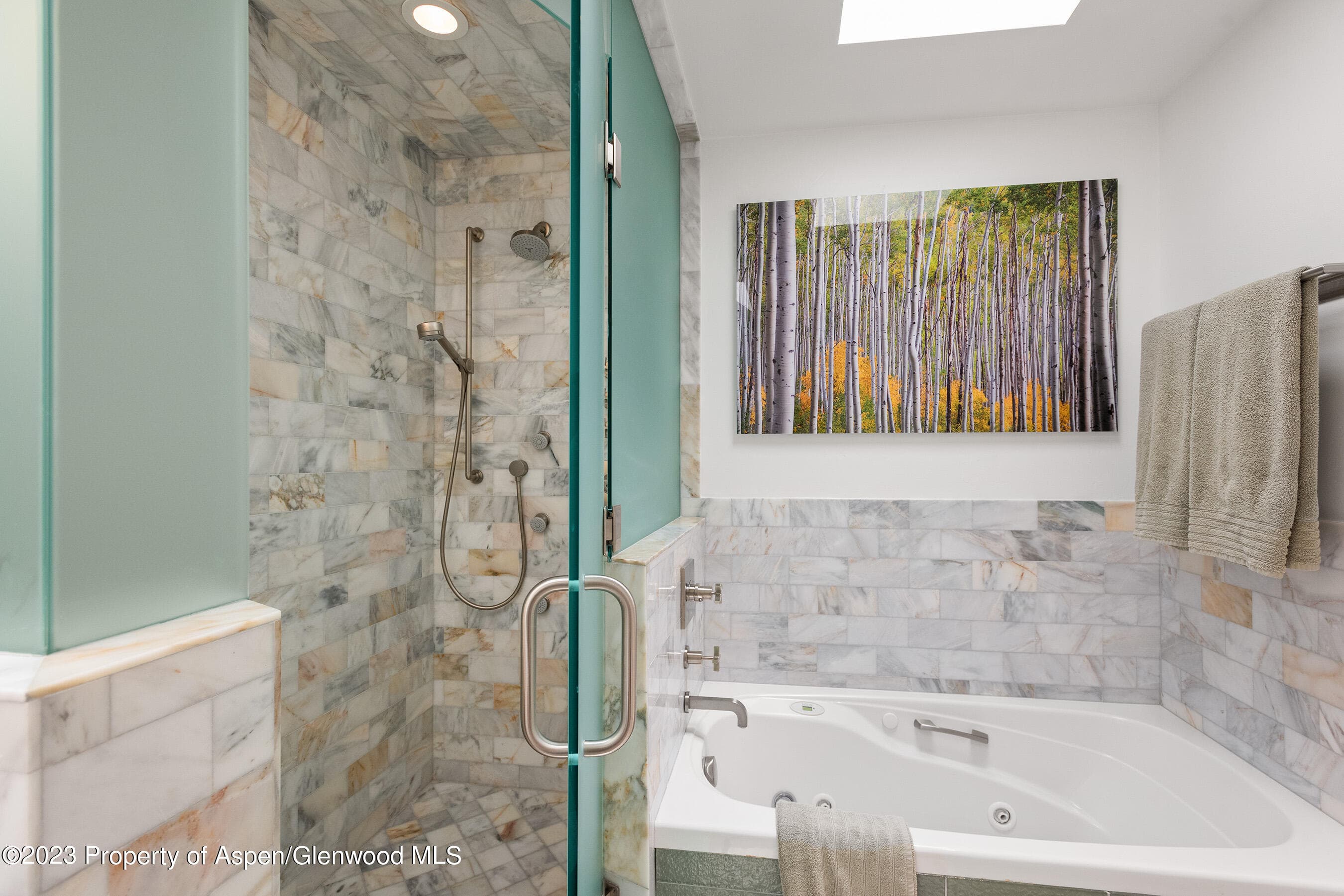 917 E Durant Avenue, Aspen, CO 81611 - Photo 13