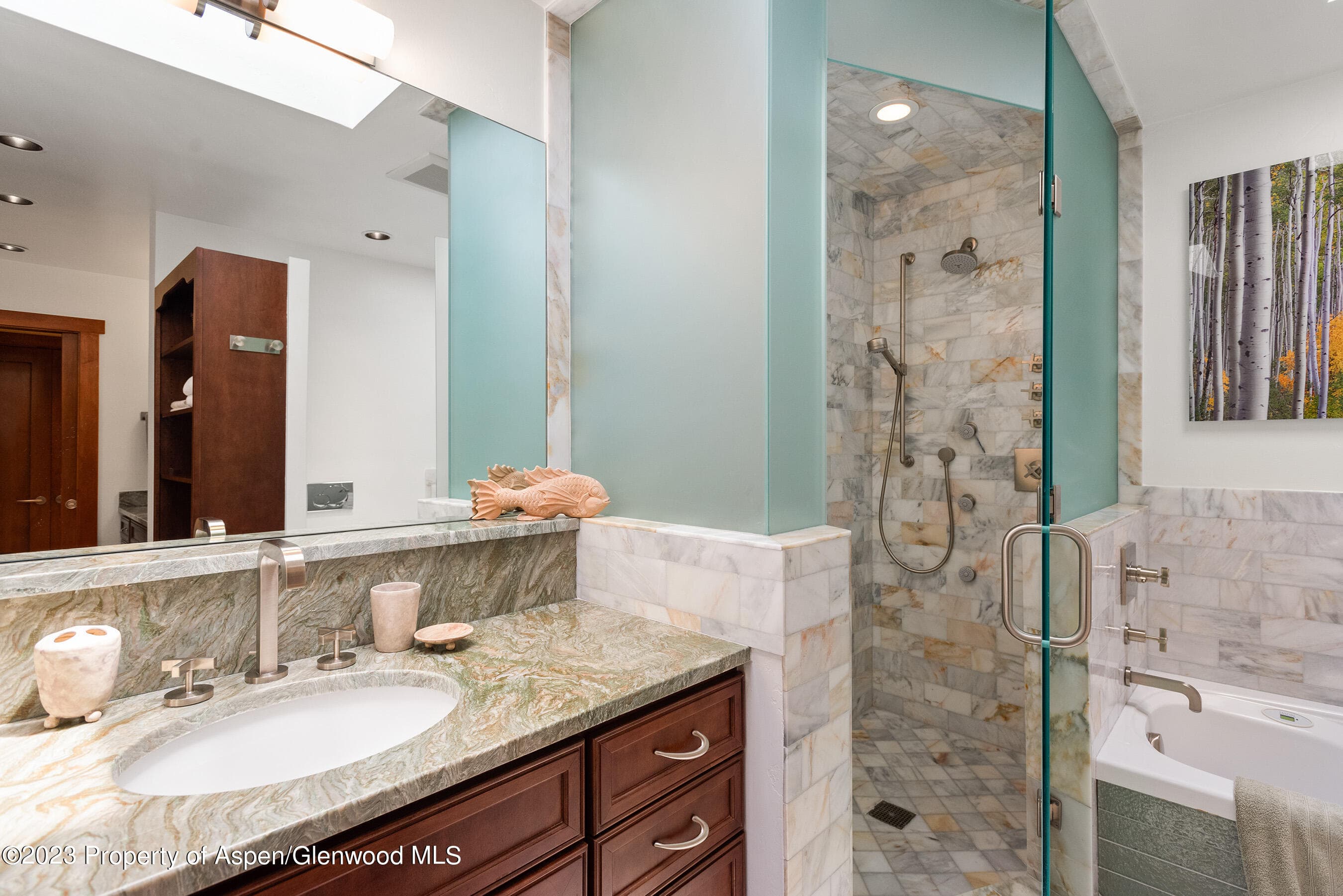 917 E Durant Avenue, Aspen, CO 81611 - Photo 12