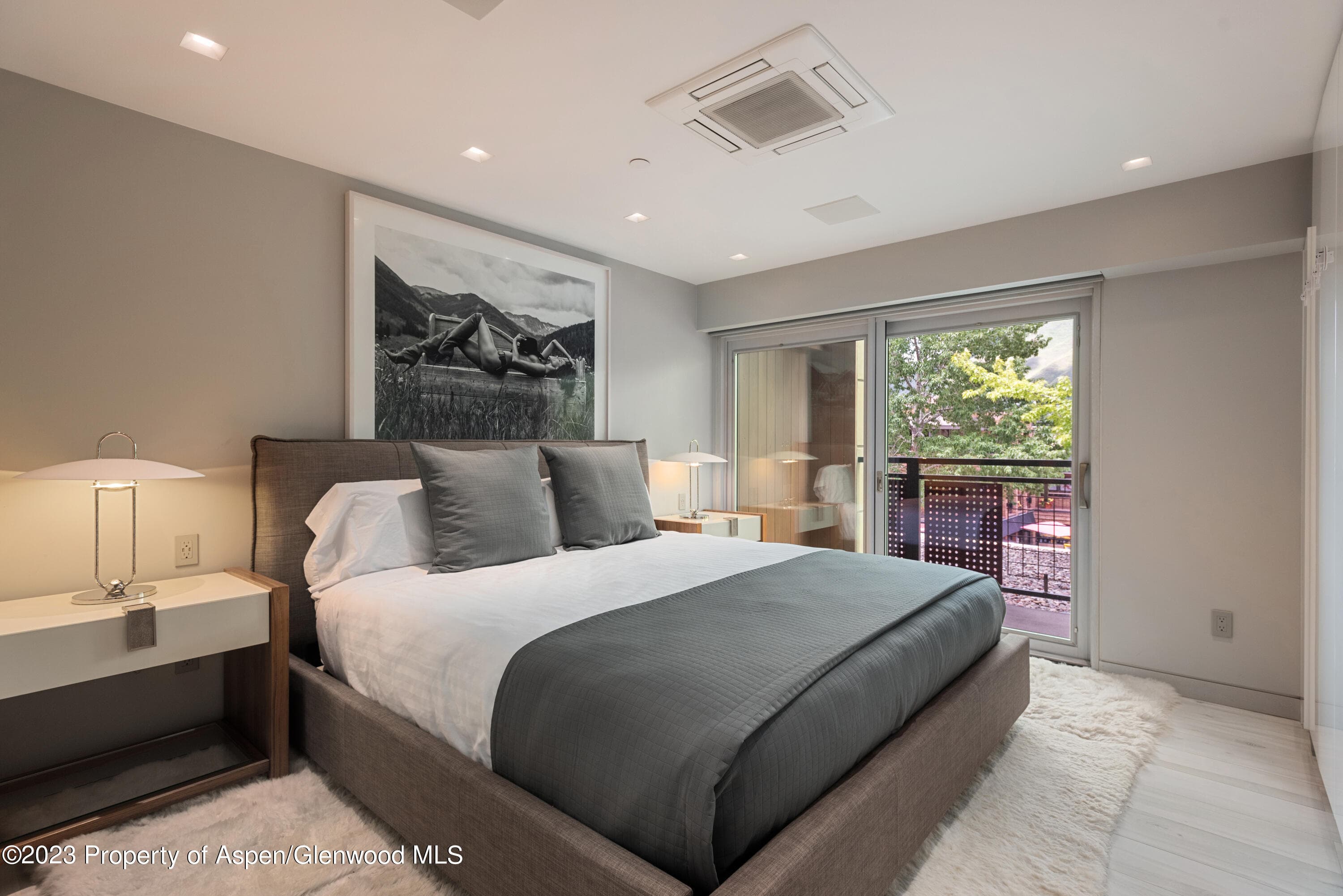 555 E Durant Avenue 2L, Aspen, CO 81611 - Photo 8