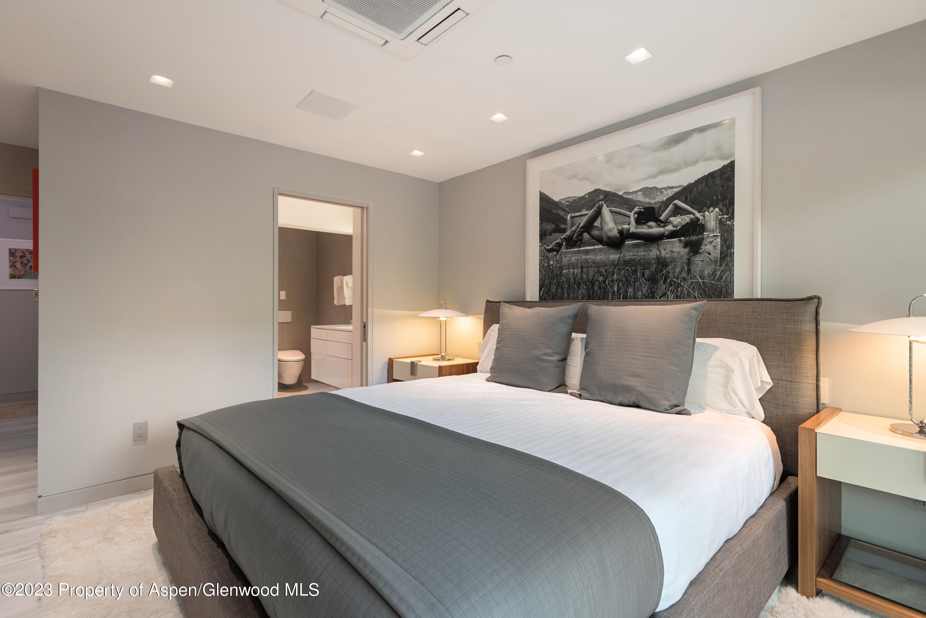 555 E Durant Avenue 2L, Aspen, CO 81611 - Photo 10