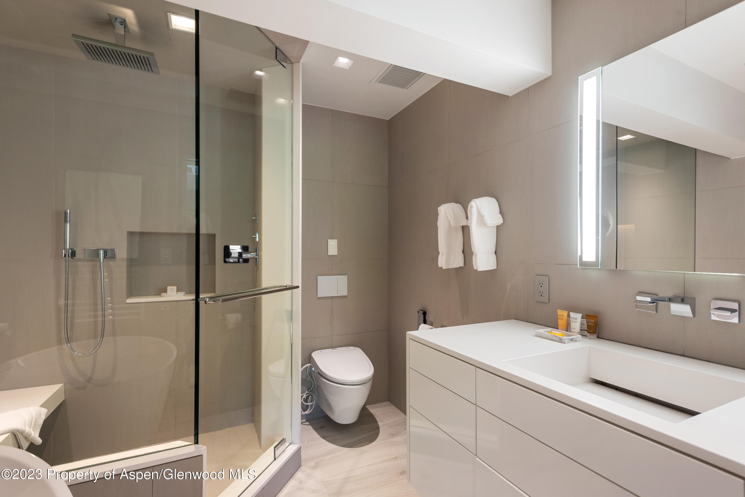 555 E Durant Avenue 2L, Aspen, CO 81611 - Photo 11