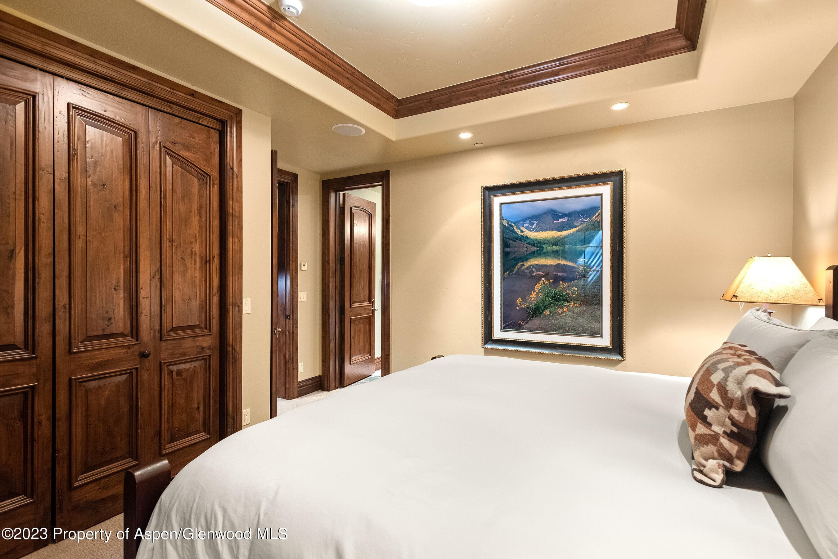 81 Thunderbowl Lane, Aspen, CO 81611 - Photo 8