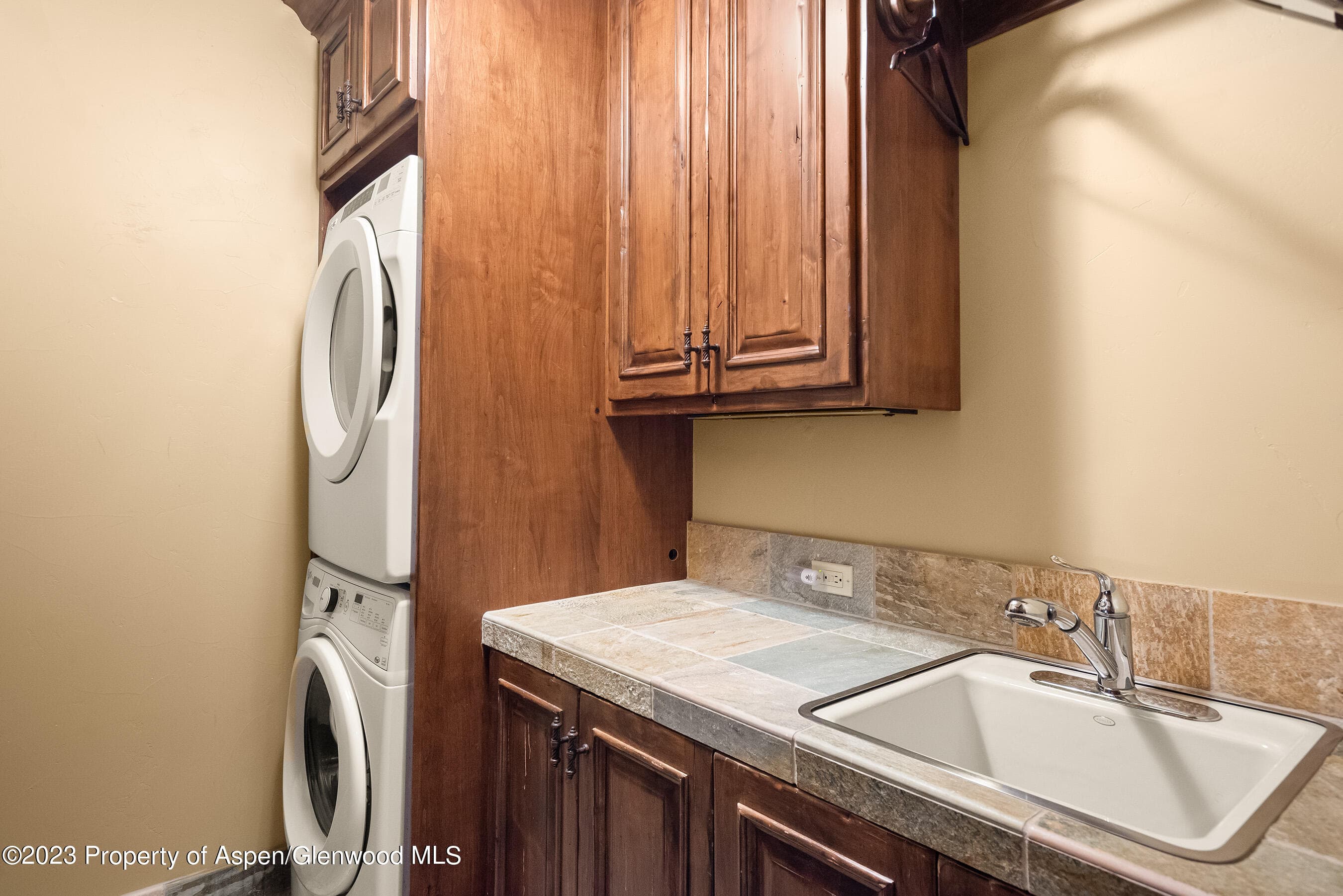 81 Thunderbowl Lane, Aspen, CO 81611 - Photo 14