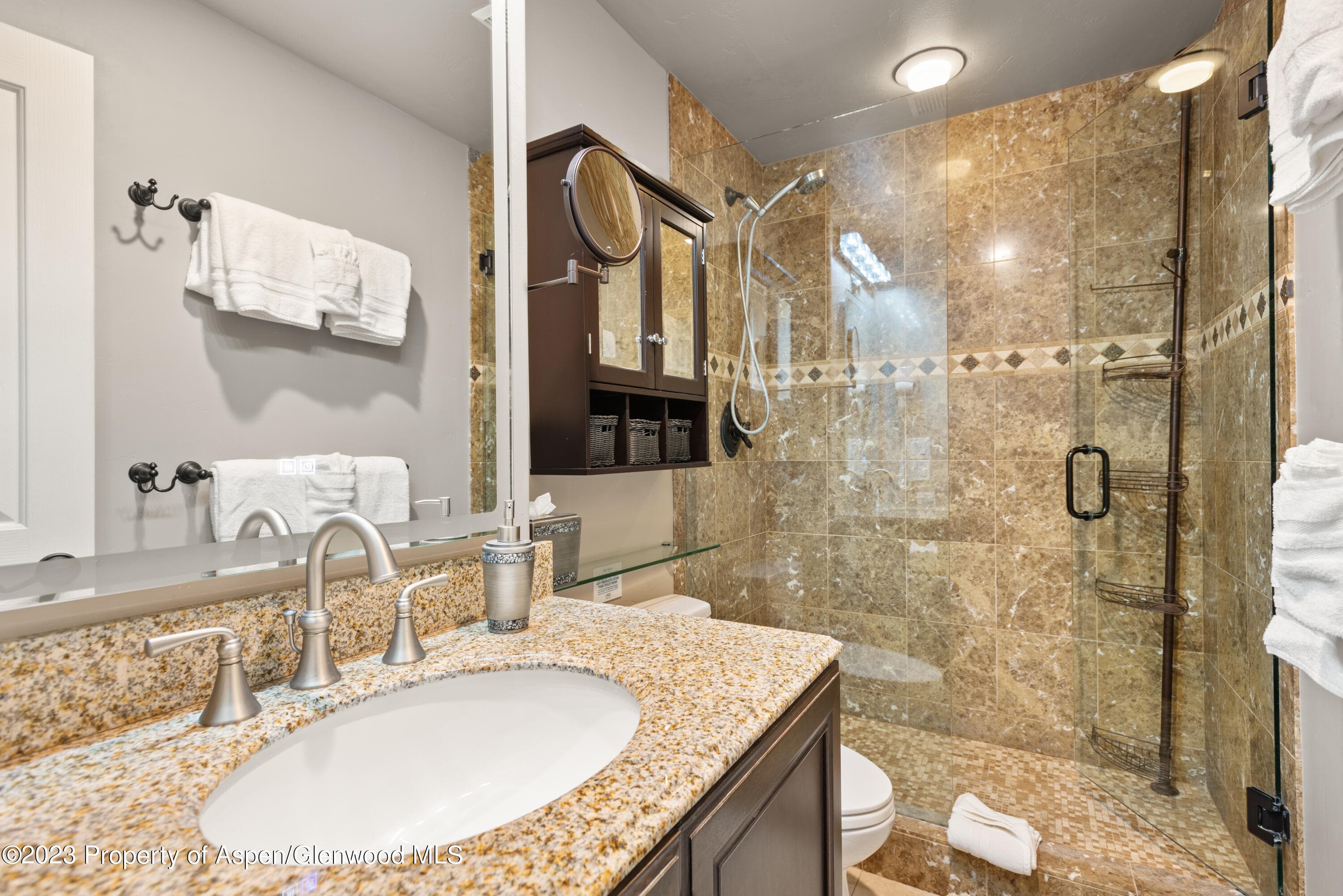 711 S Galena Street 20D, Aspen, CO 81611 - Photo 16