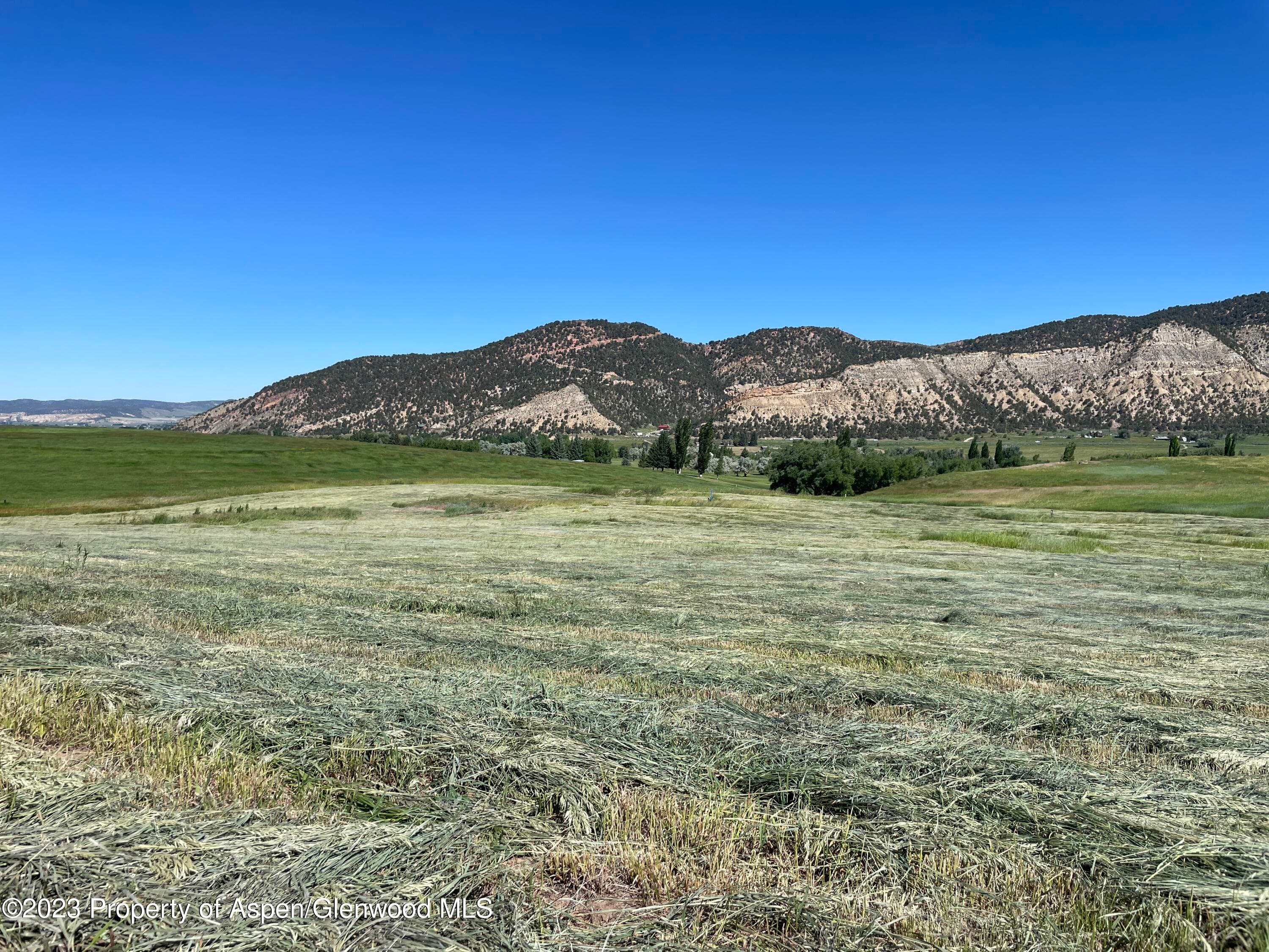 1150 Flag Creek Drive, Meeker, CO 81641 - Photo 6