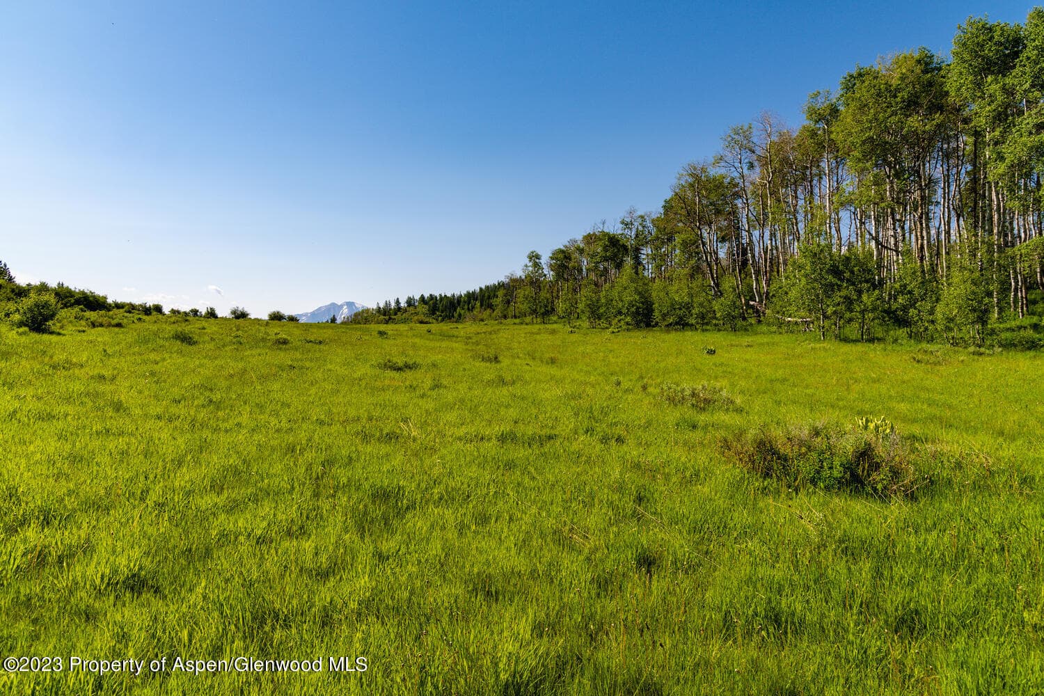 TBD Black Diamond Mine Road, Glenwood Springs, CO 81601 - Photo 50
