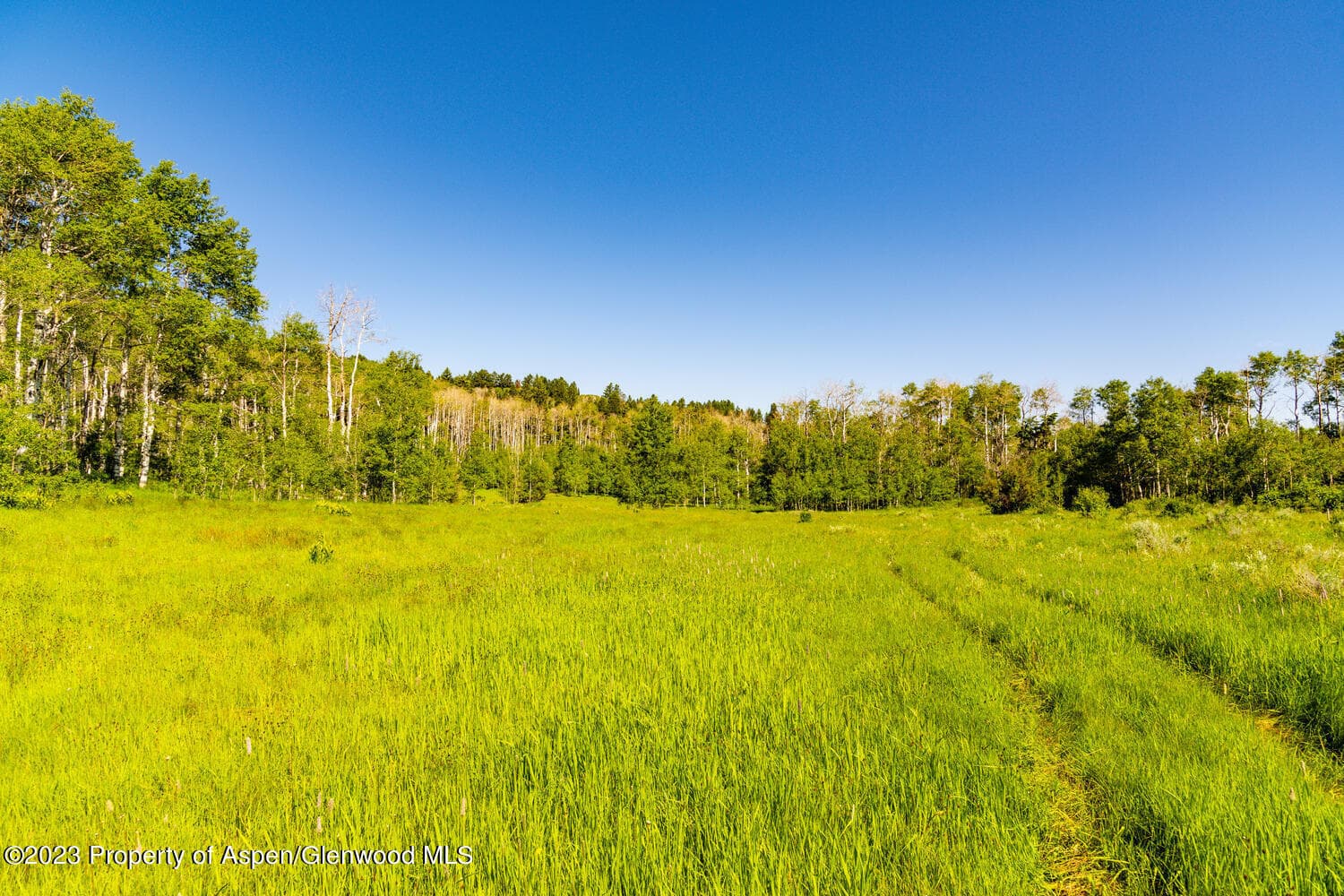 TBD Black Diamond Mine Road, Glenwood Springs, CO 81601 - Photo 55