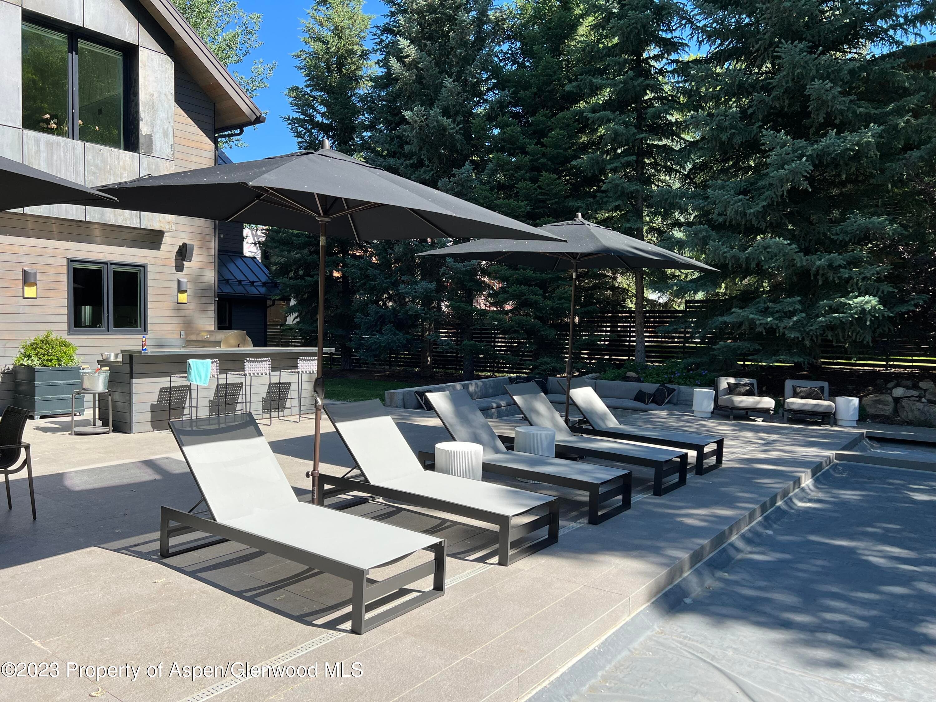 936 King Street, Aspen, CO 81611 - Photo 8