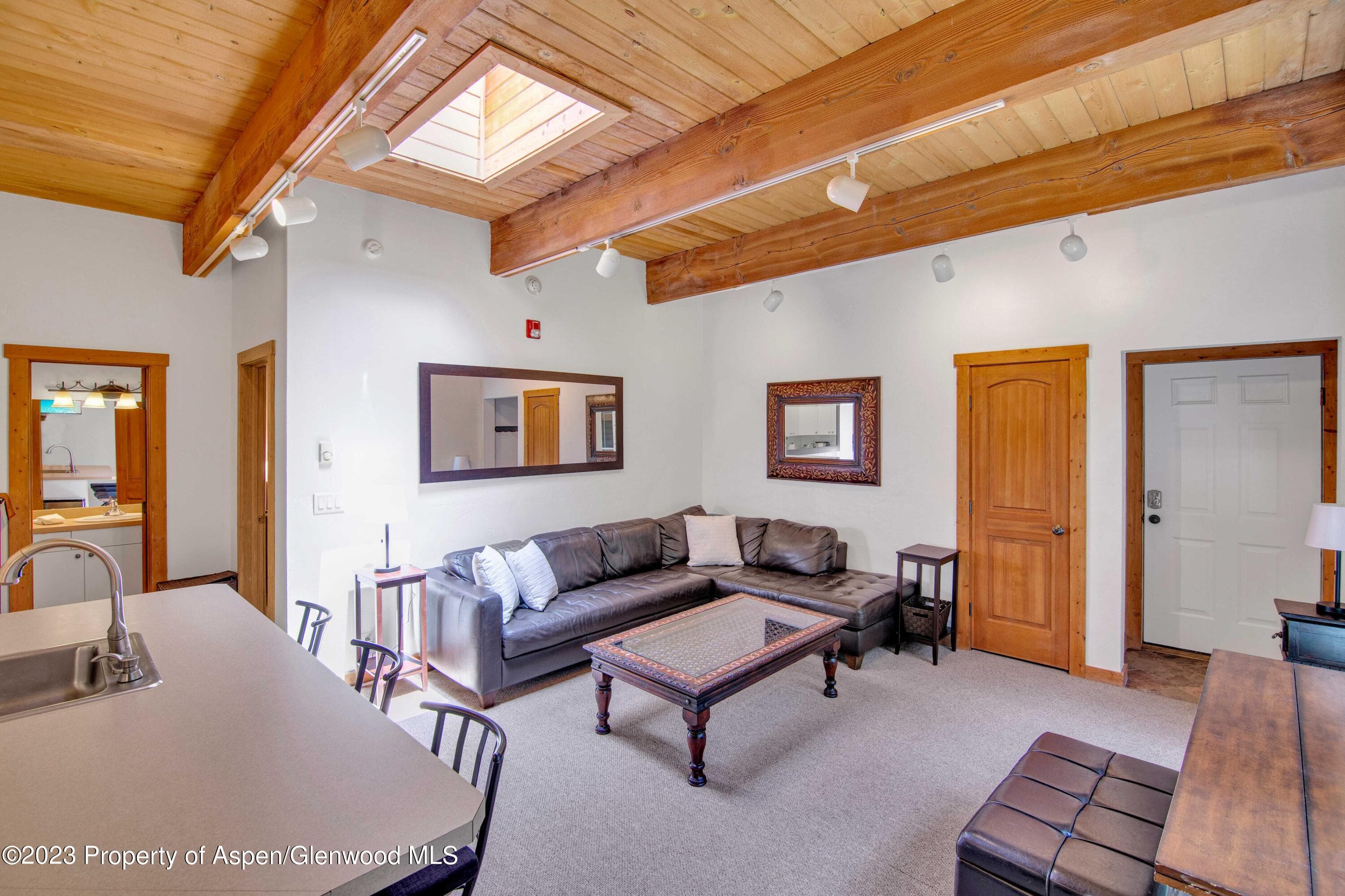 914 Waters Avenue 21, Aspen, CO 81611 - Photo 8