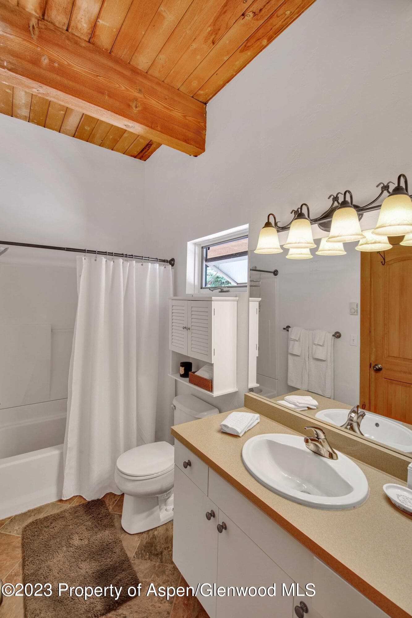 914 Waters Avenue 21, Aspen, CO 81611 - Photo 11