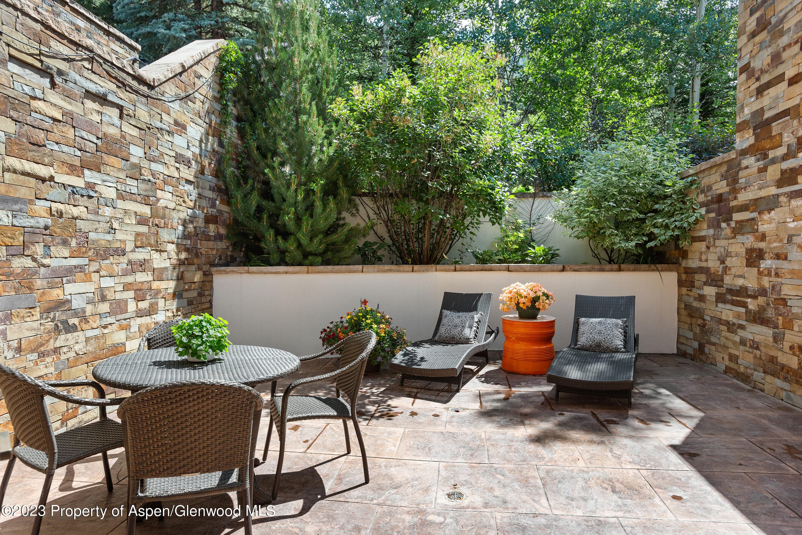 138 W Lupine Drive, Aspen, CO 81611 - Photo 7