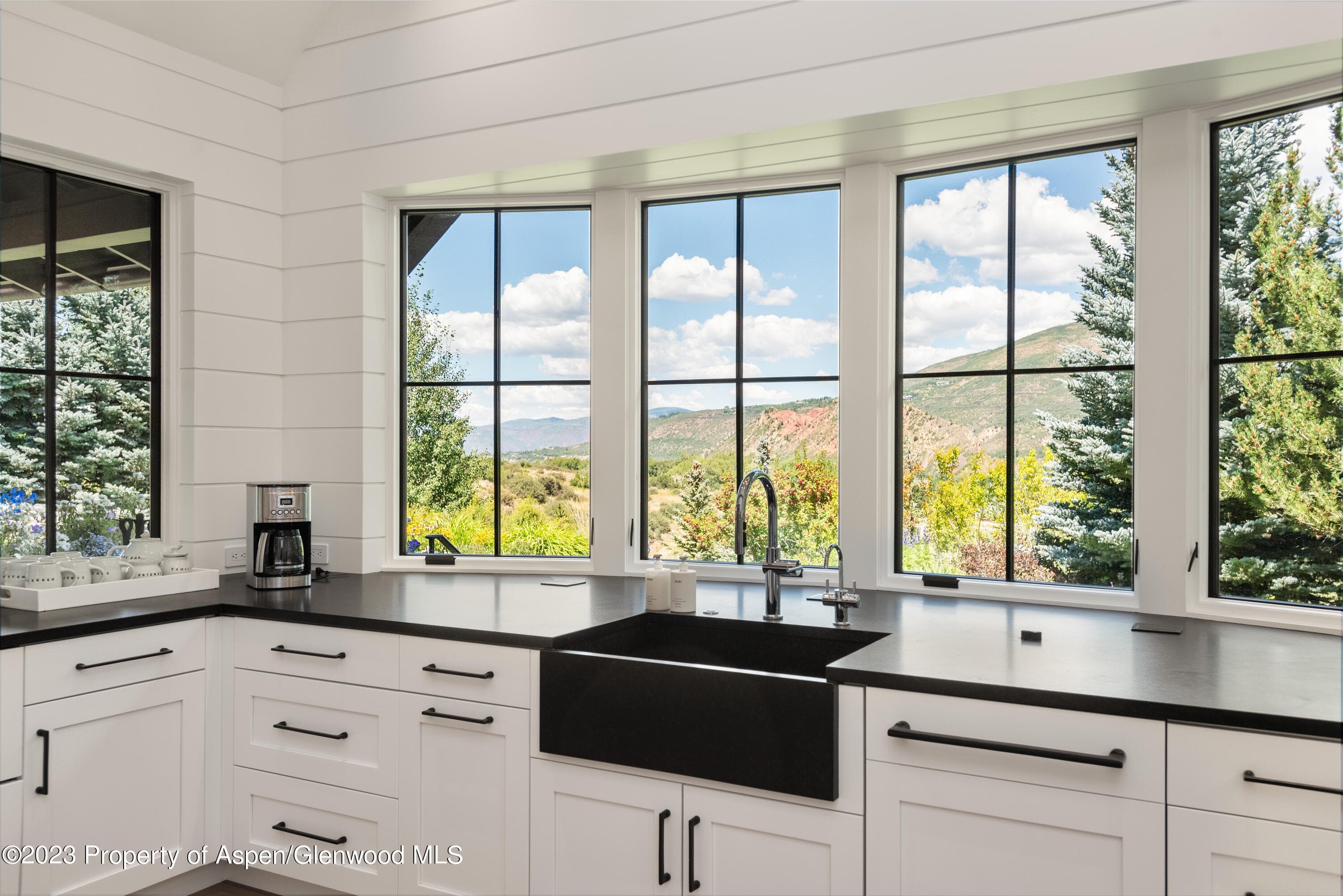 11 Heather Lane, Aspen, CO 81611 - Photo 36