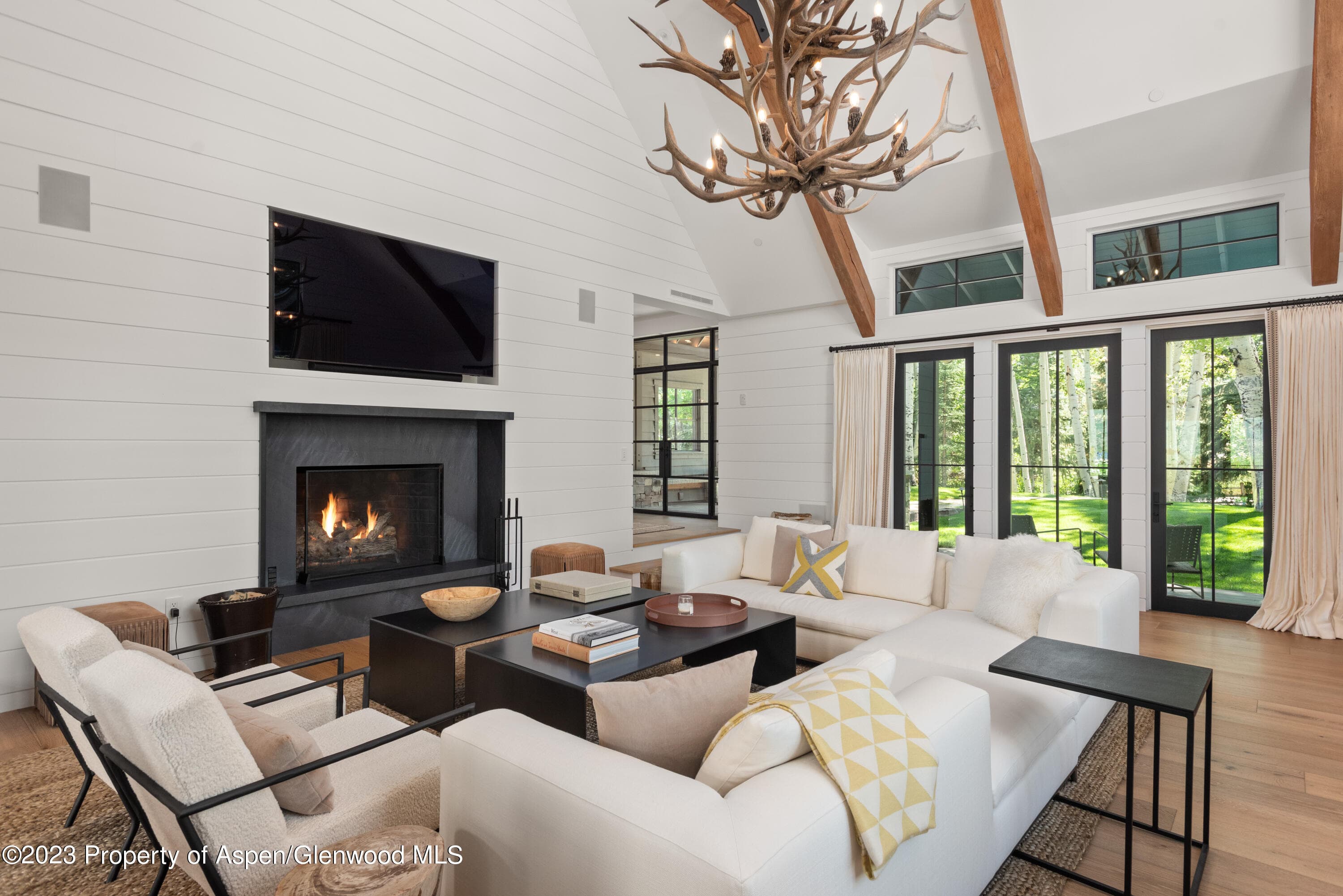 11 Heather Lane, Aspen, CO 81611 - Photo 43
