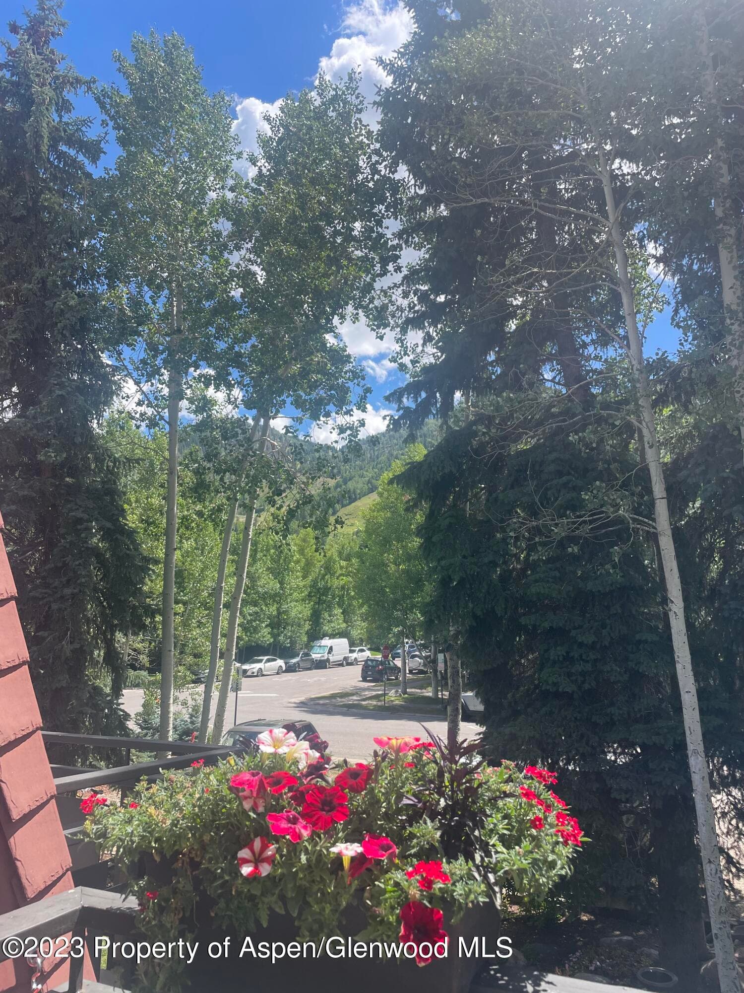 108 W Hyman Avenue Unit 7, Aspen, CO 81611 - Photo 14