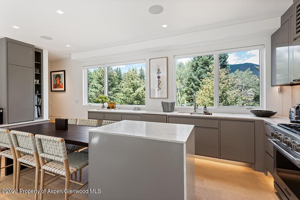 623 S Monarch Street B, Aspen, CO 81611 - Photo 10