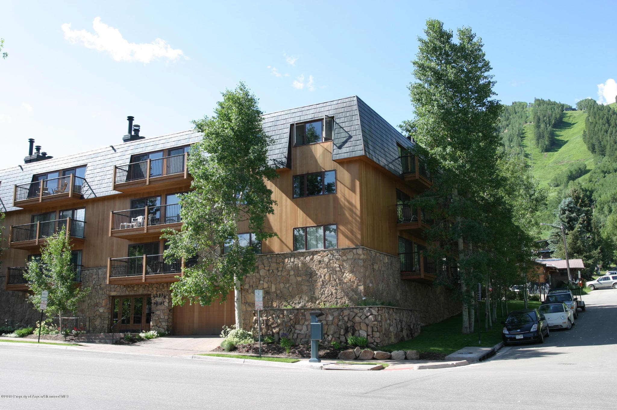 205 E Durant Avenue 3f, Aspen, CO 81611 - Photo 16