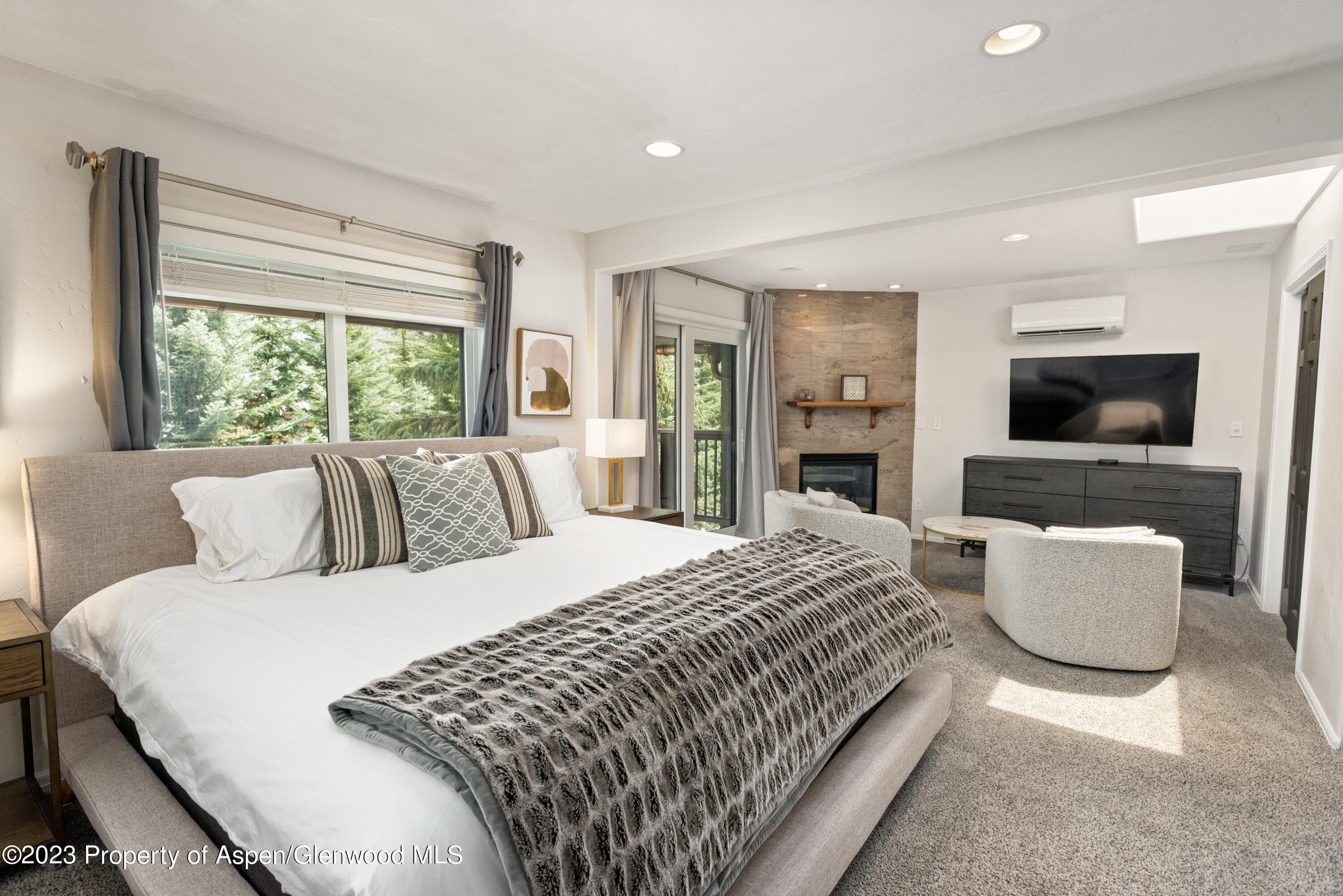 650 S Monarch Street 2, Aspen, CO 81611 - Photo 7