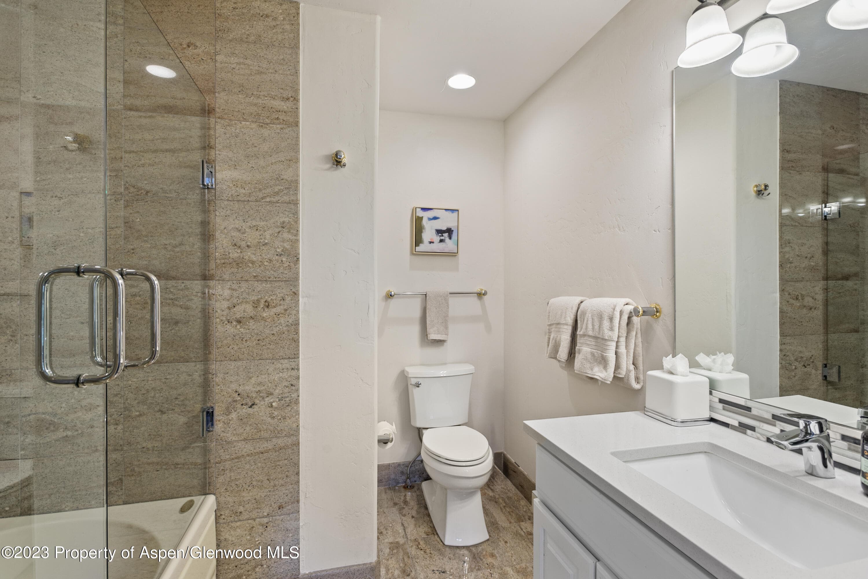 650 S Monarch Street 2, Aspen, CO 81611 - Photo 8