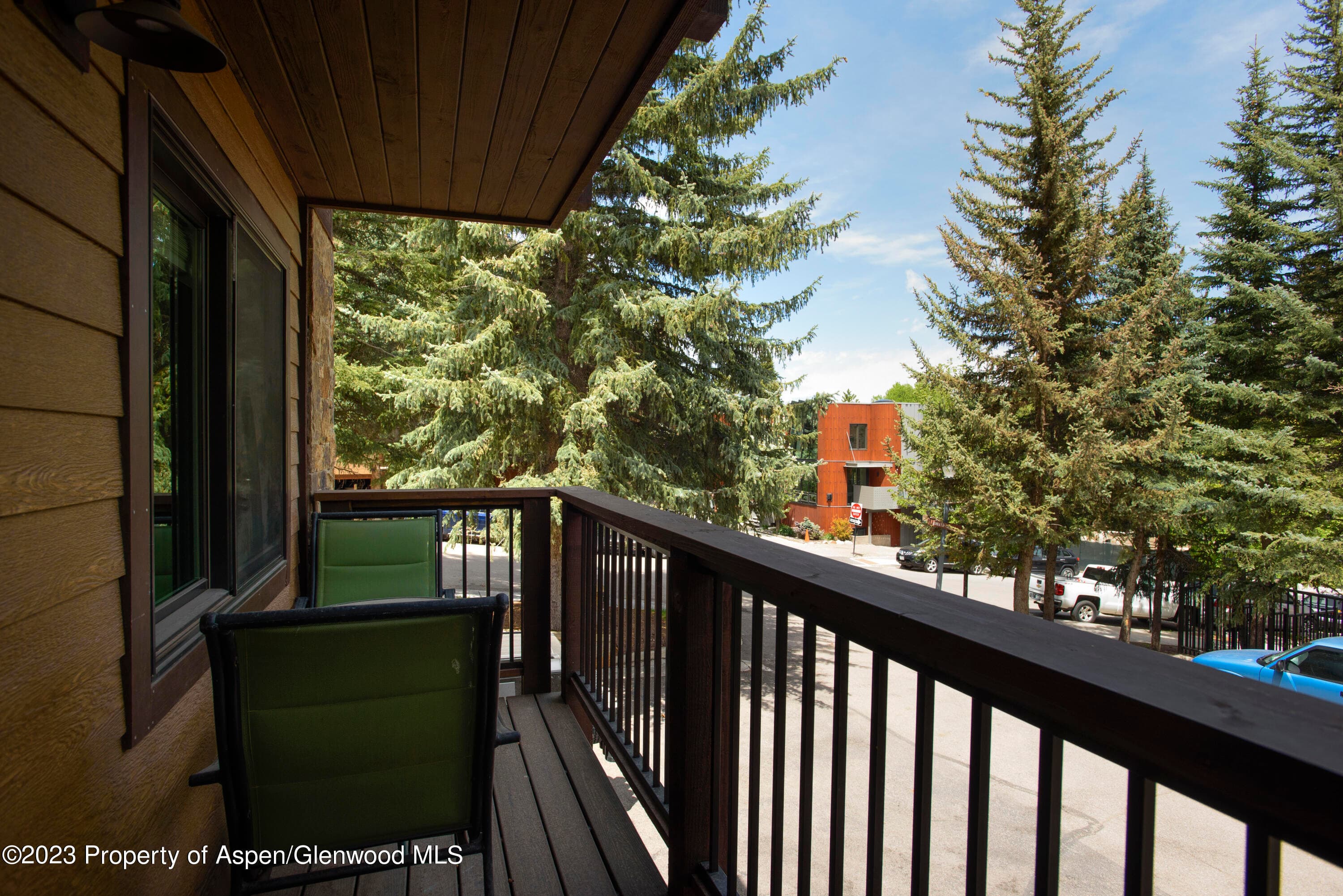 650 S Monarch Street 2, Aspen, CO 81611 - Photo 16