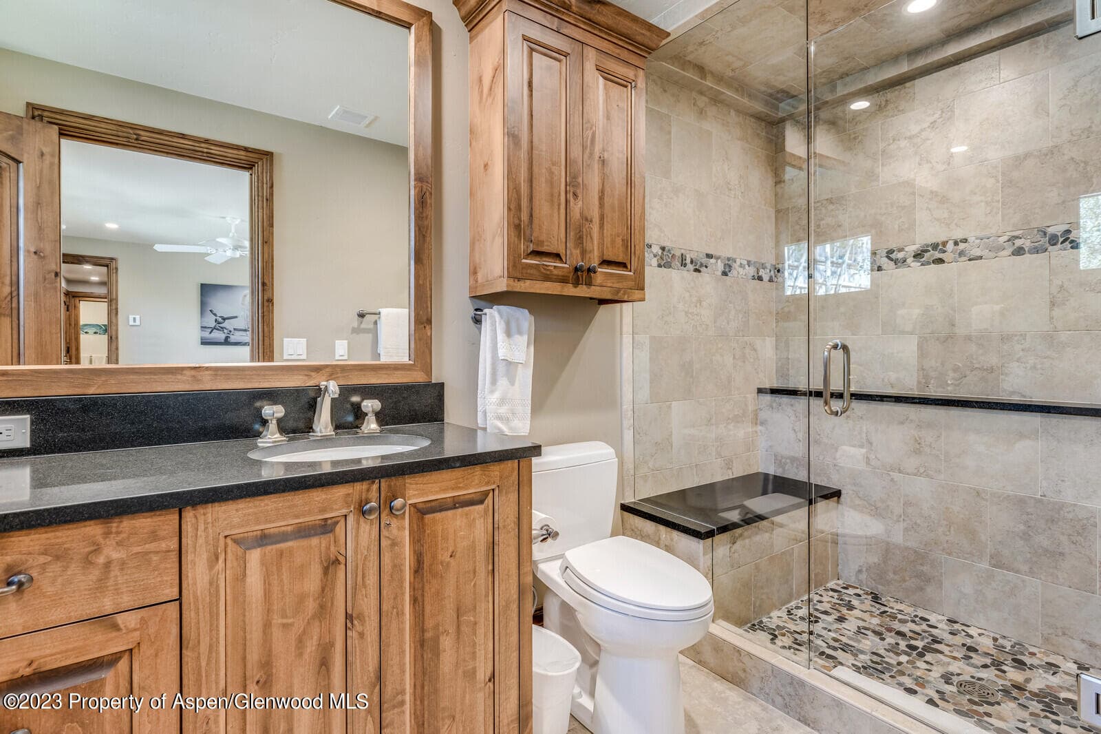 435 Faraway Road, Snowmass Village, CO 81615 - Photo 25