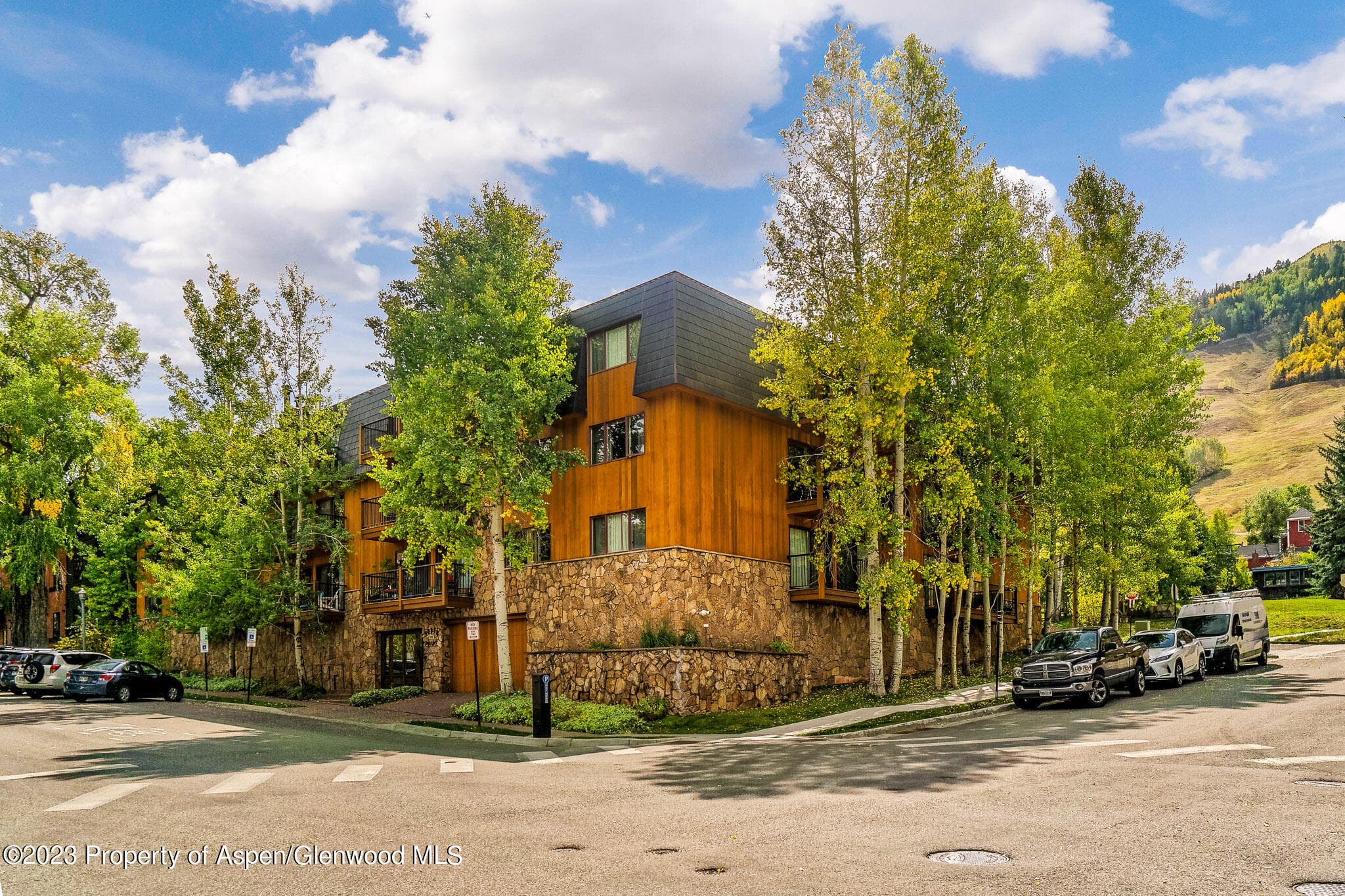 205 E Durant Avenue 3H, Aspen, CO 81611 - Photo 3