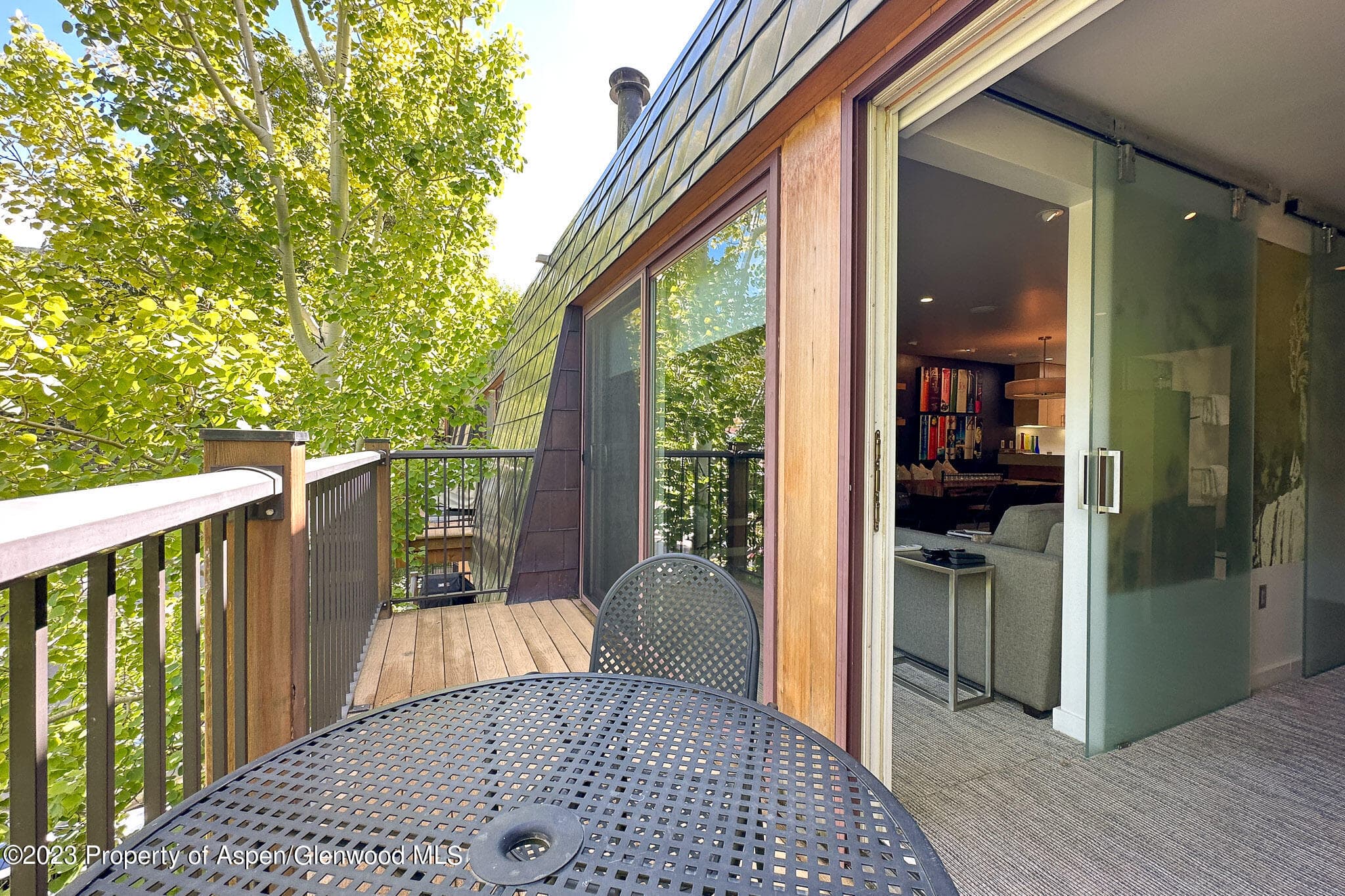 205 E Durant Avenue 3H, Aspen, CO 81611 - Photo 10
