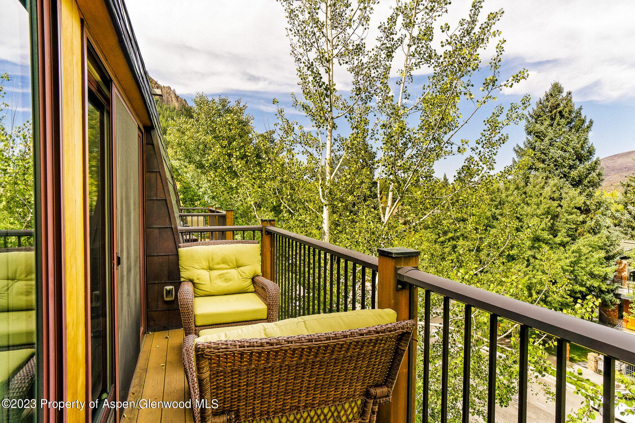 205 E Durant Avenue 3H, Aspen, CO 81611 - Photo 14