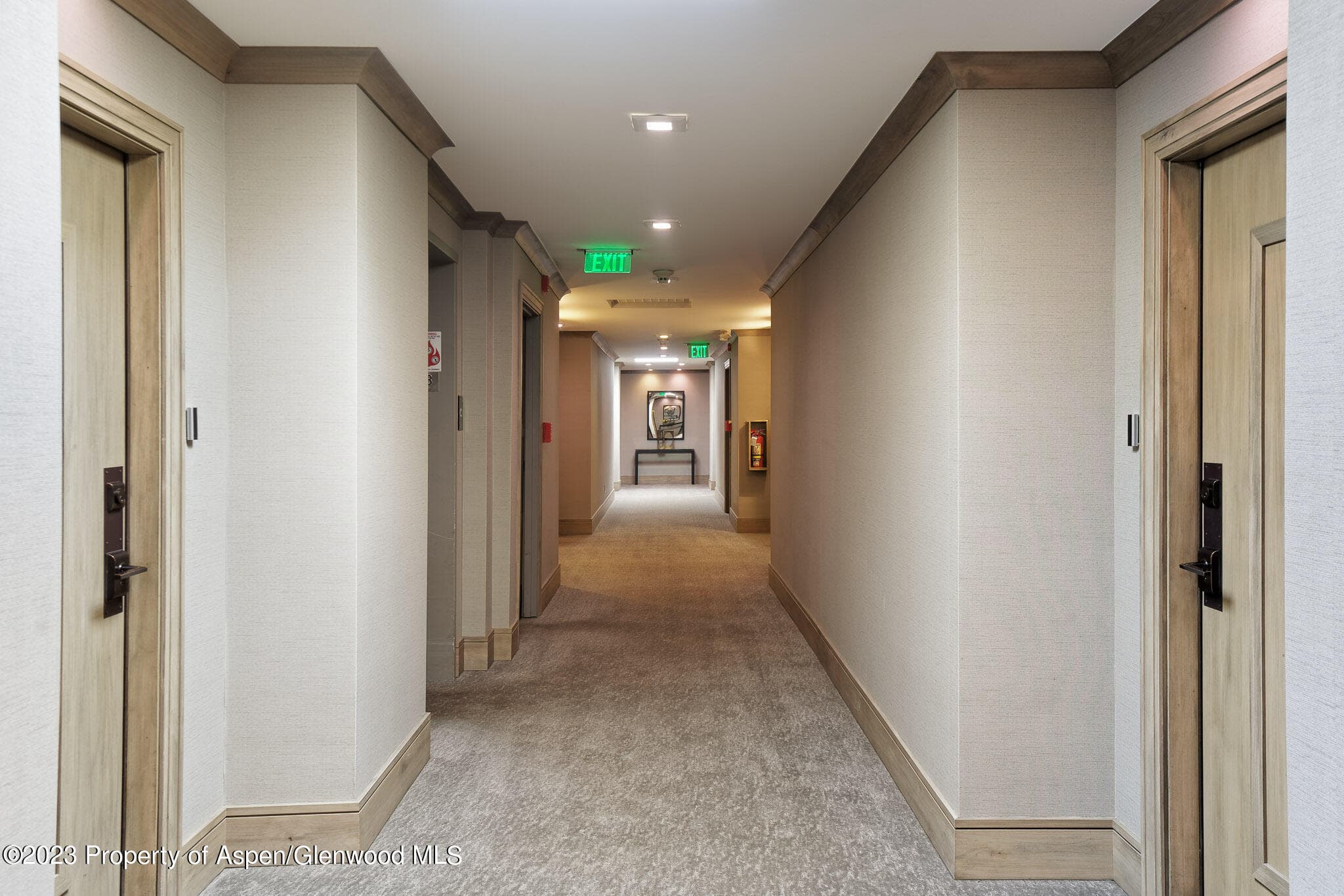 205 E Durant Avenue 3H, Aspen, CO 81611 - Photo 17