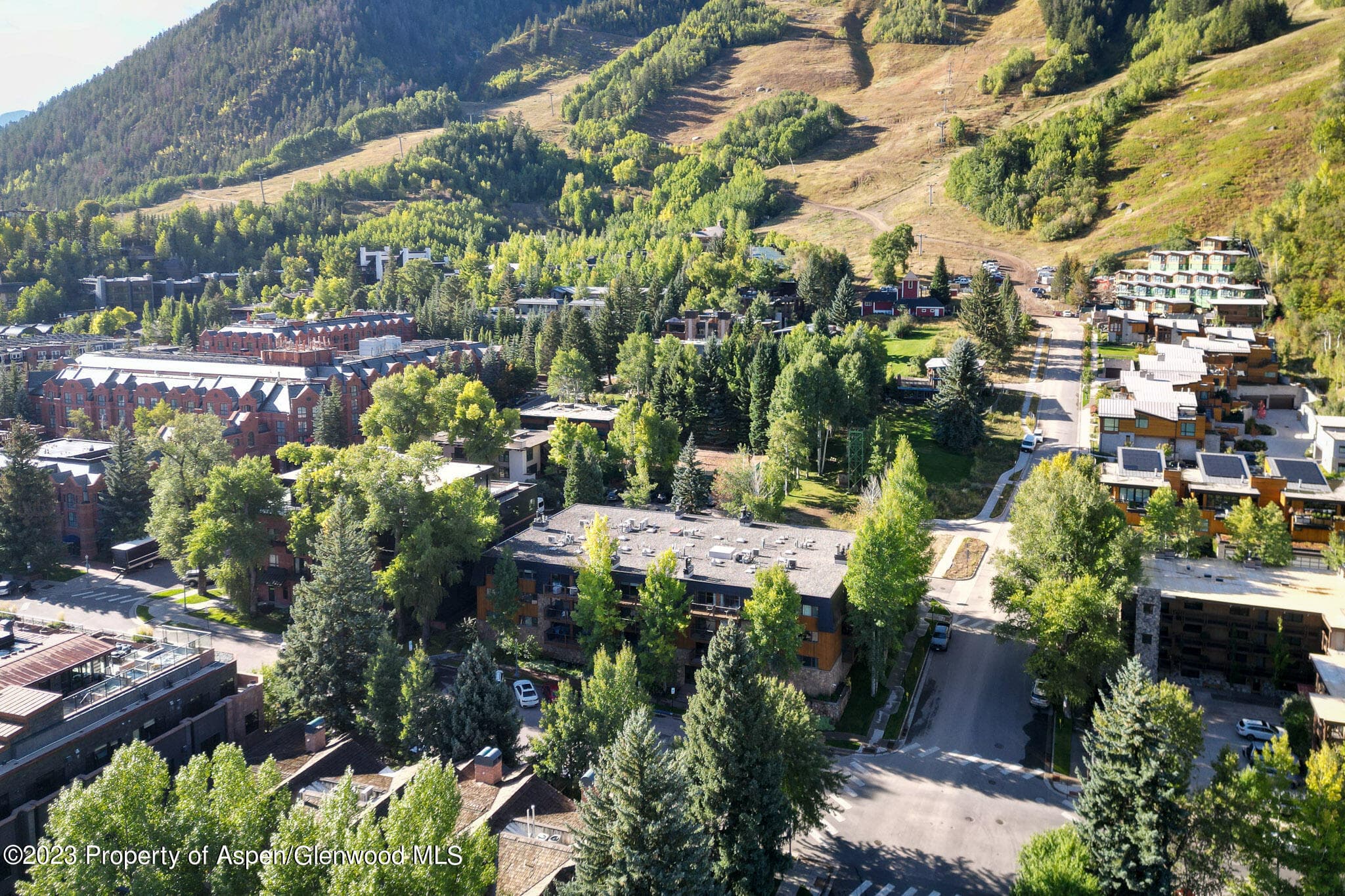 205 E Durant Avenue 3H, Aspen, CO 81611 - Photo 20
