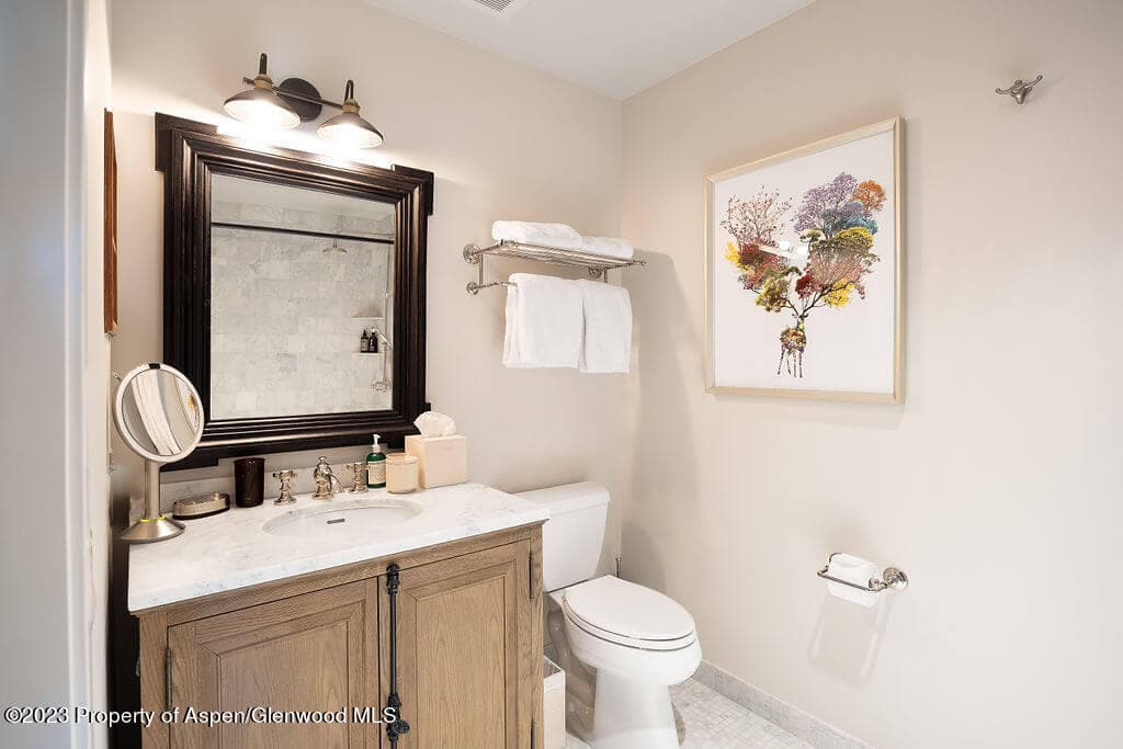 1490 Ute Avenue, Aspen, CO 81611 - Photo 27