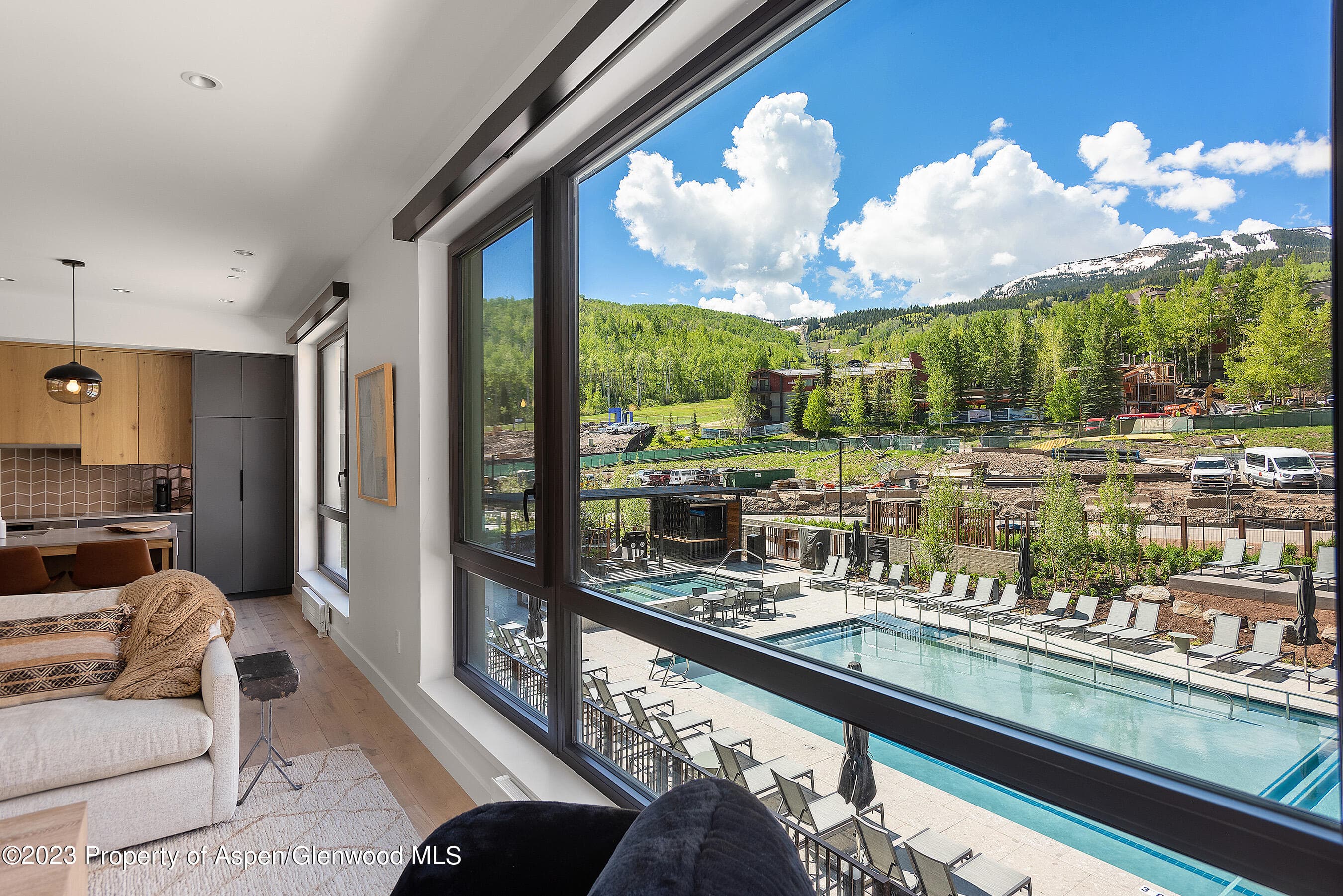 119 Wood Road 201, Snowmass Village, CO 81615 - Photo 5