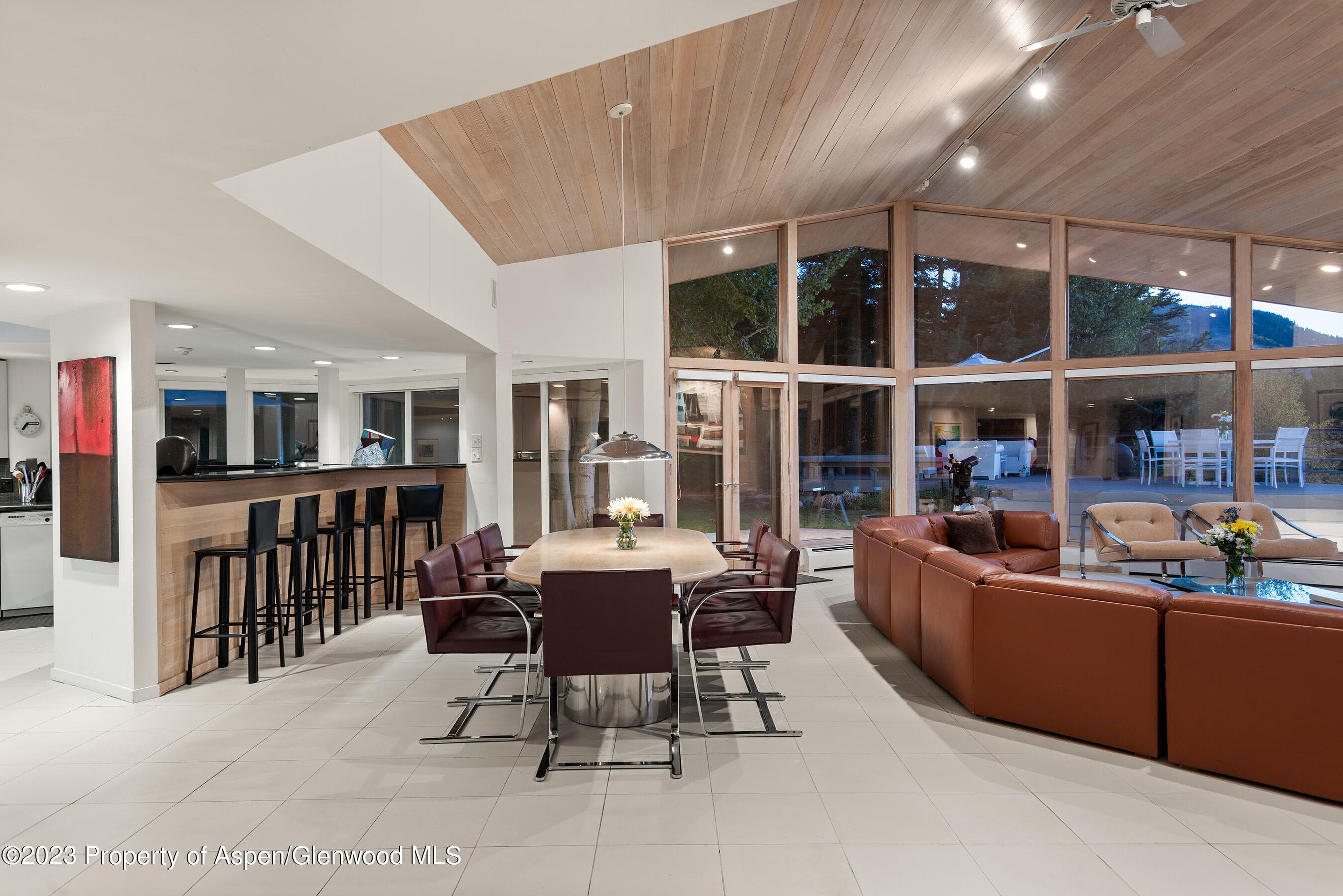 695 Meadows Road, Aspen, CO 81611 - Photo 14