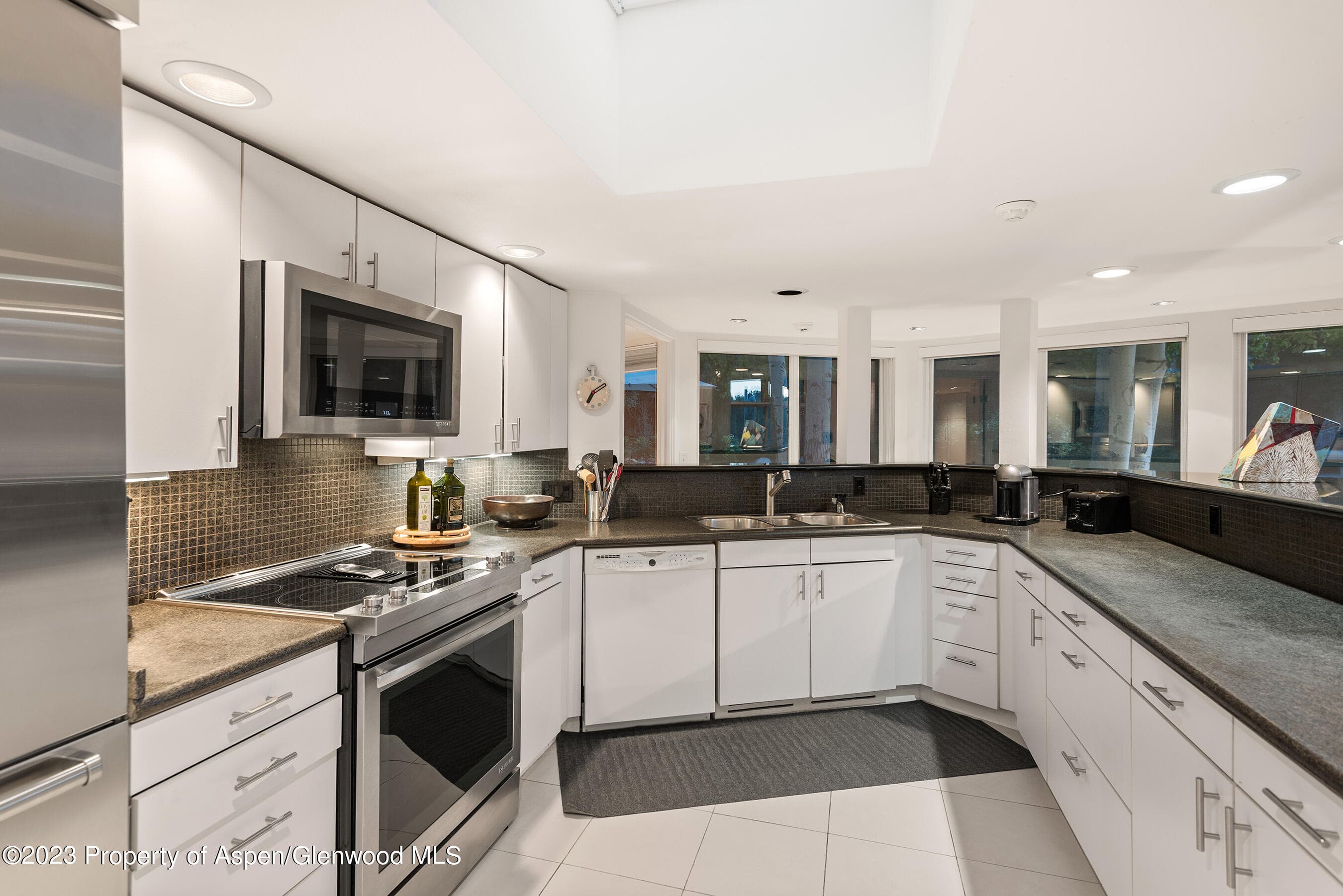 695 Meadows Road, Aspen, CO 81611 - Photo 16