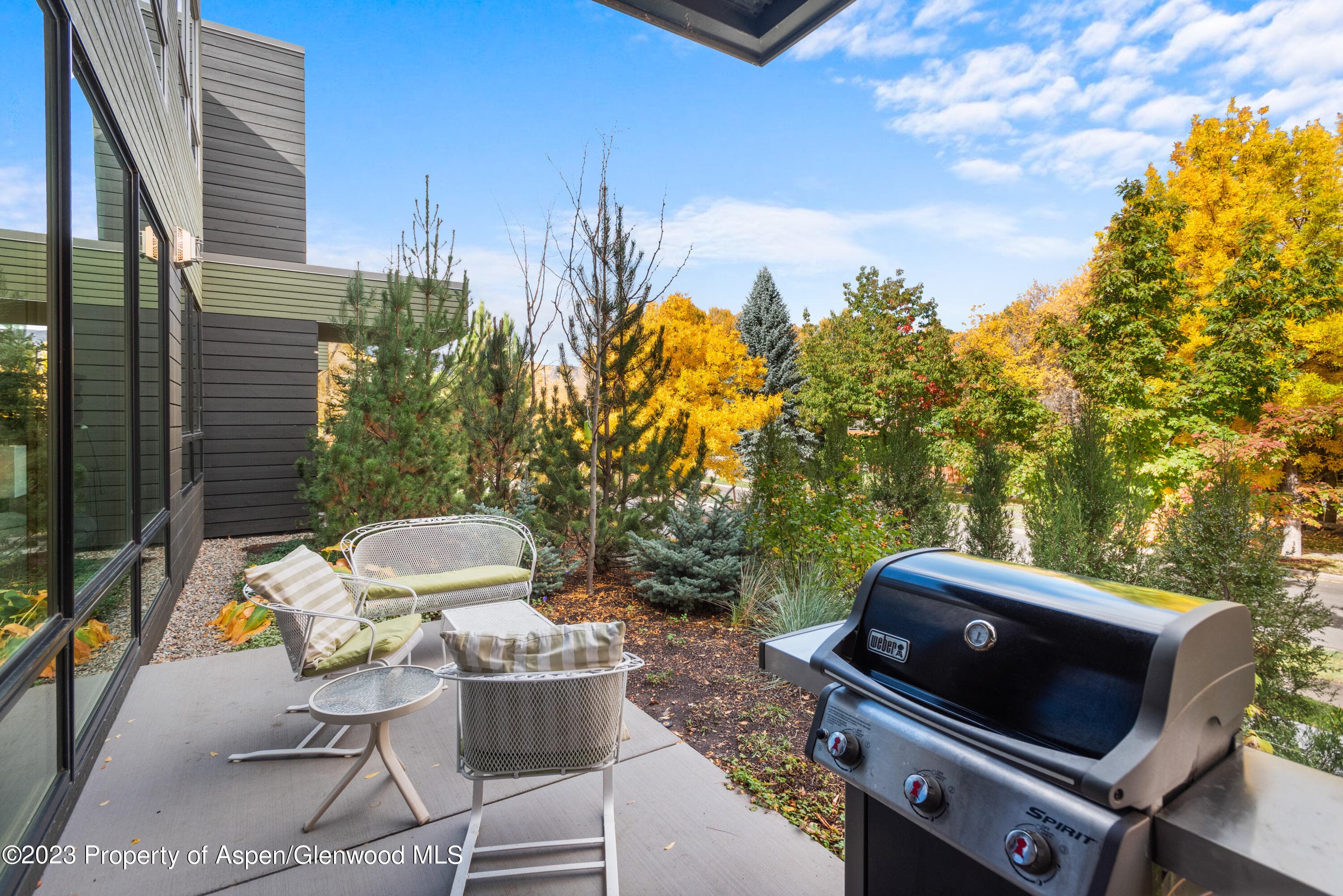 100 Evans Road 102, Basalt, CO 81621 - Photo 13