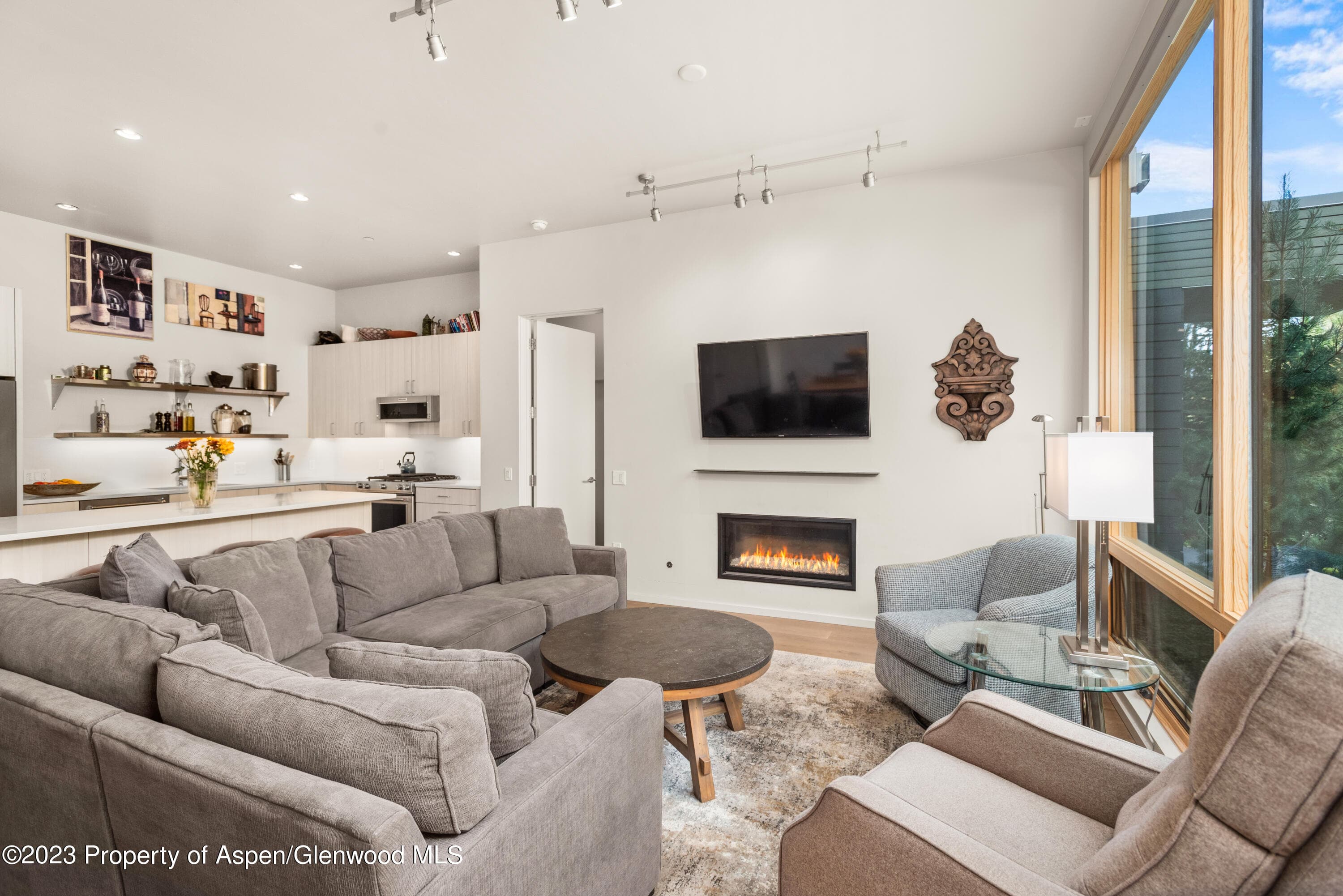 100 Evans Road 102, Basalt, CO 81621 - Photo 5