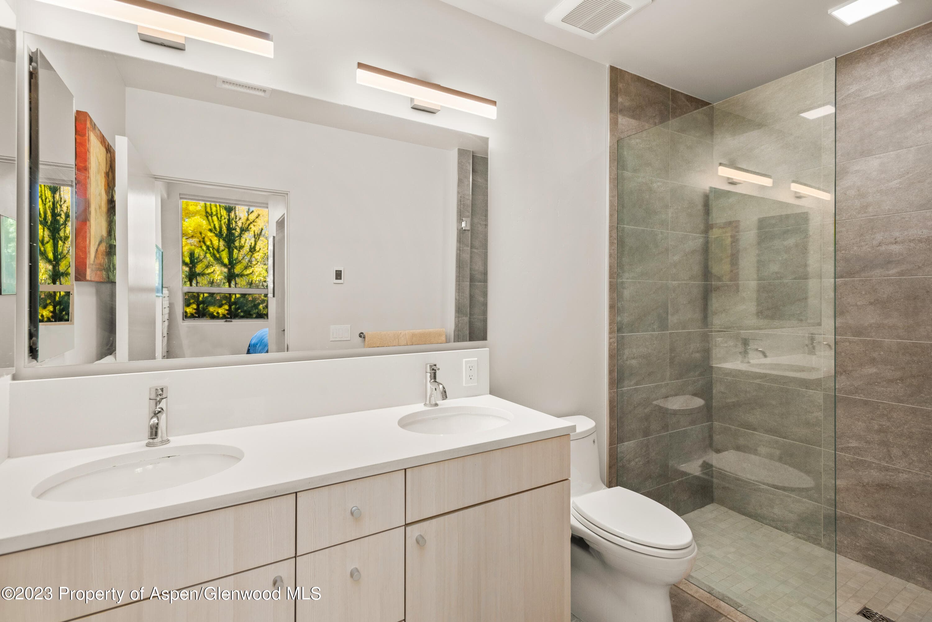 100 Evans Road 102, Basalt, CO 81621 - Photo 9