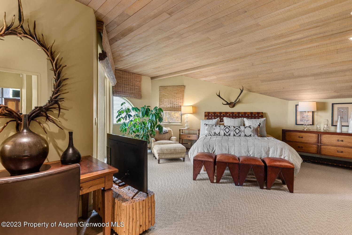 431 Edgewood Lane, Snowmass Village, CO 81615 - Photo 29