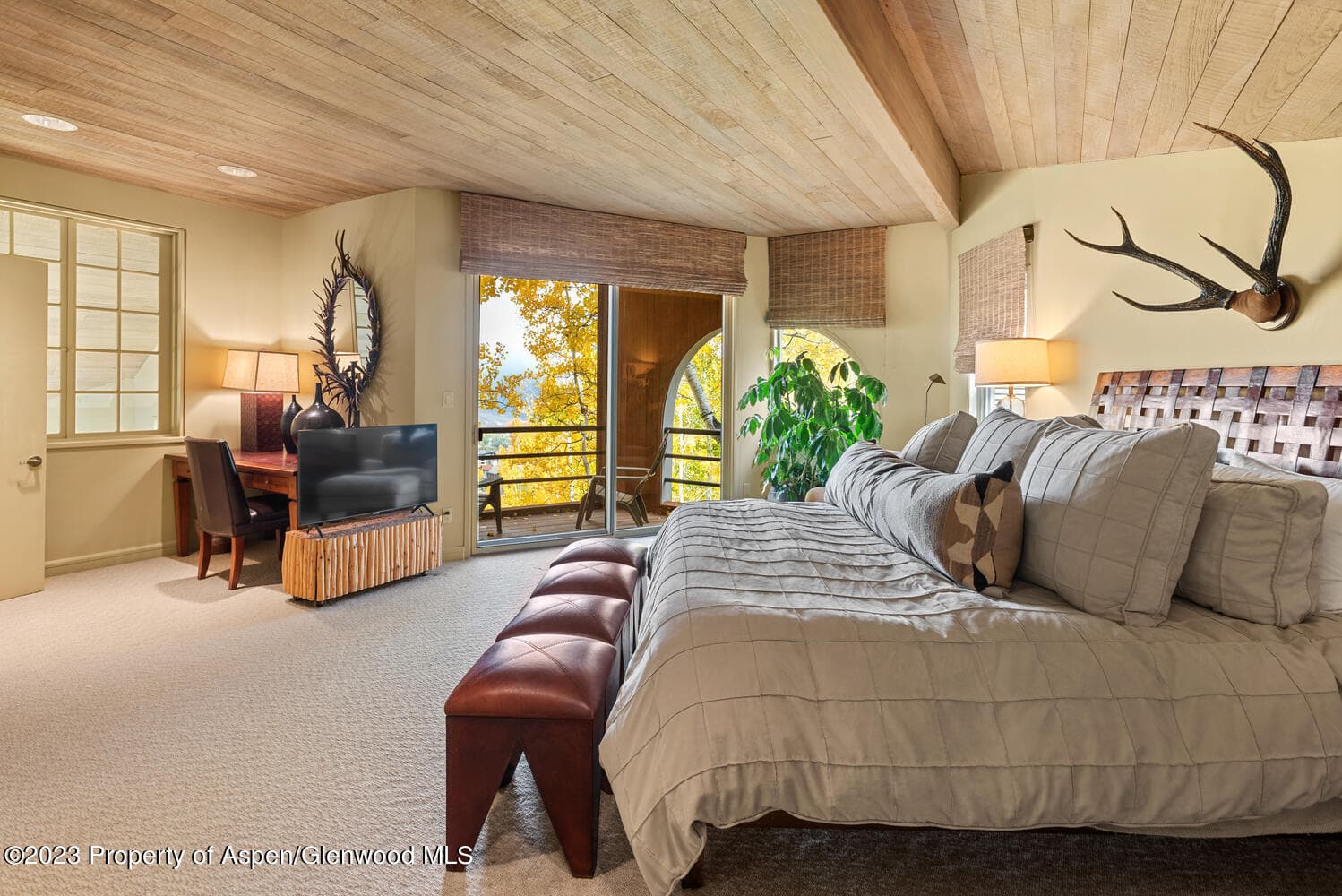 431 Edgewood Lane, Snowmass Village, CO 81615 - Photo 31